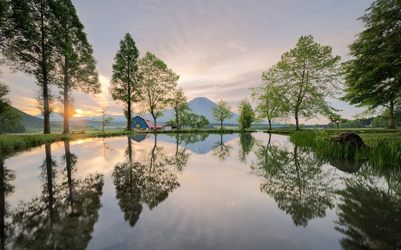 720P, beauty in nature, waterfront, spring, pond, Japan, scenics - nature, non-urban scene, no people, symmetry, tree, tranquility, sunset, nature, reflection, HD Wallpaper