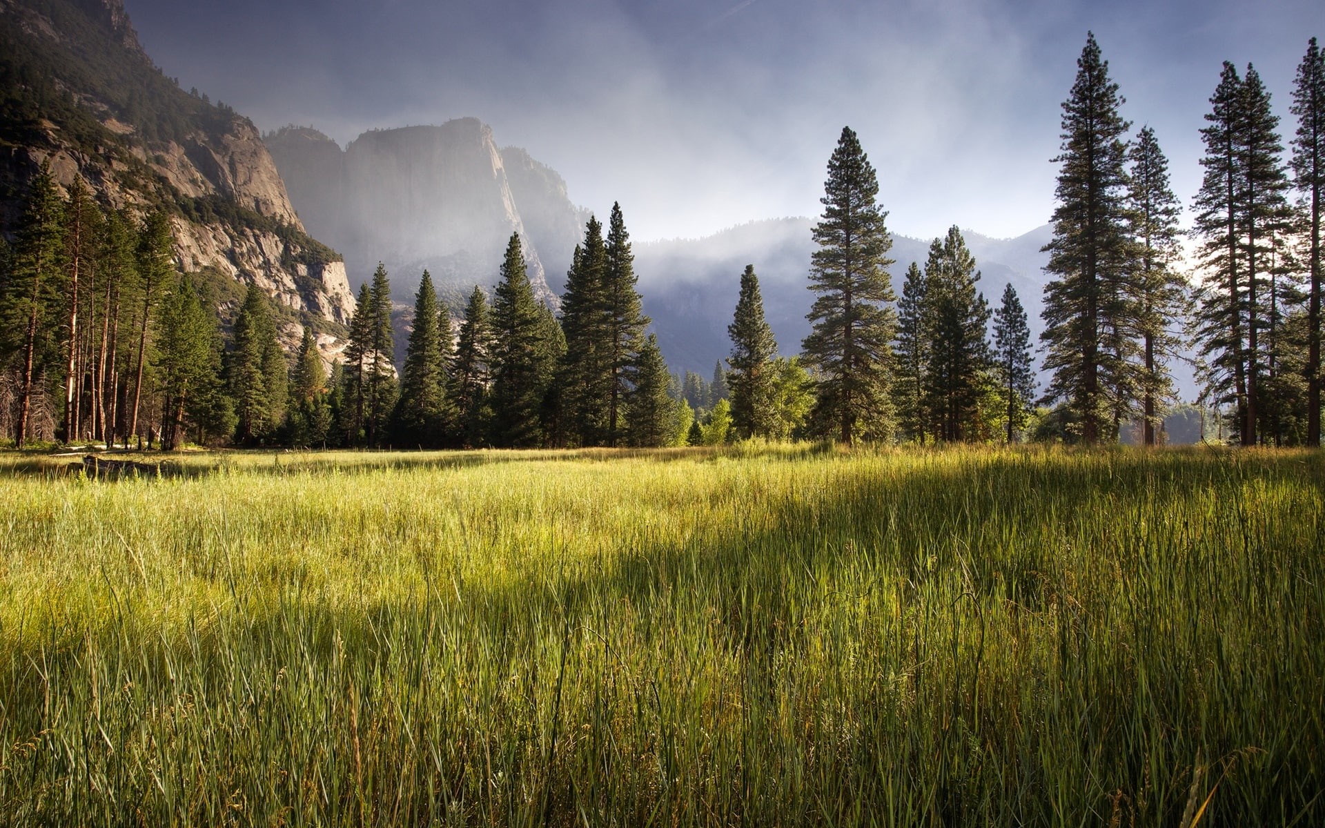 Valley, Meadow, Morning, Yosemite, 1080P, Trees, Early, HD Wallpaper