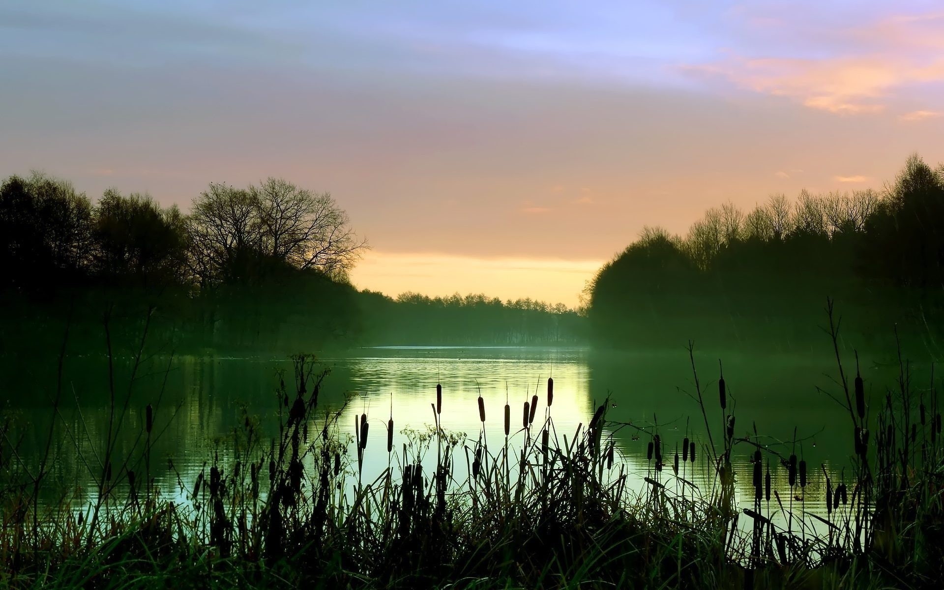 Mist, Morning, Scenery, Trees, Early, 1080P, Reeds, Lake, HD Wallpaper