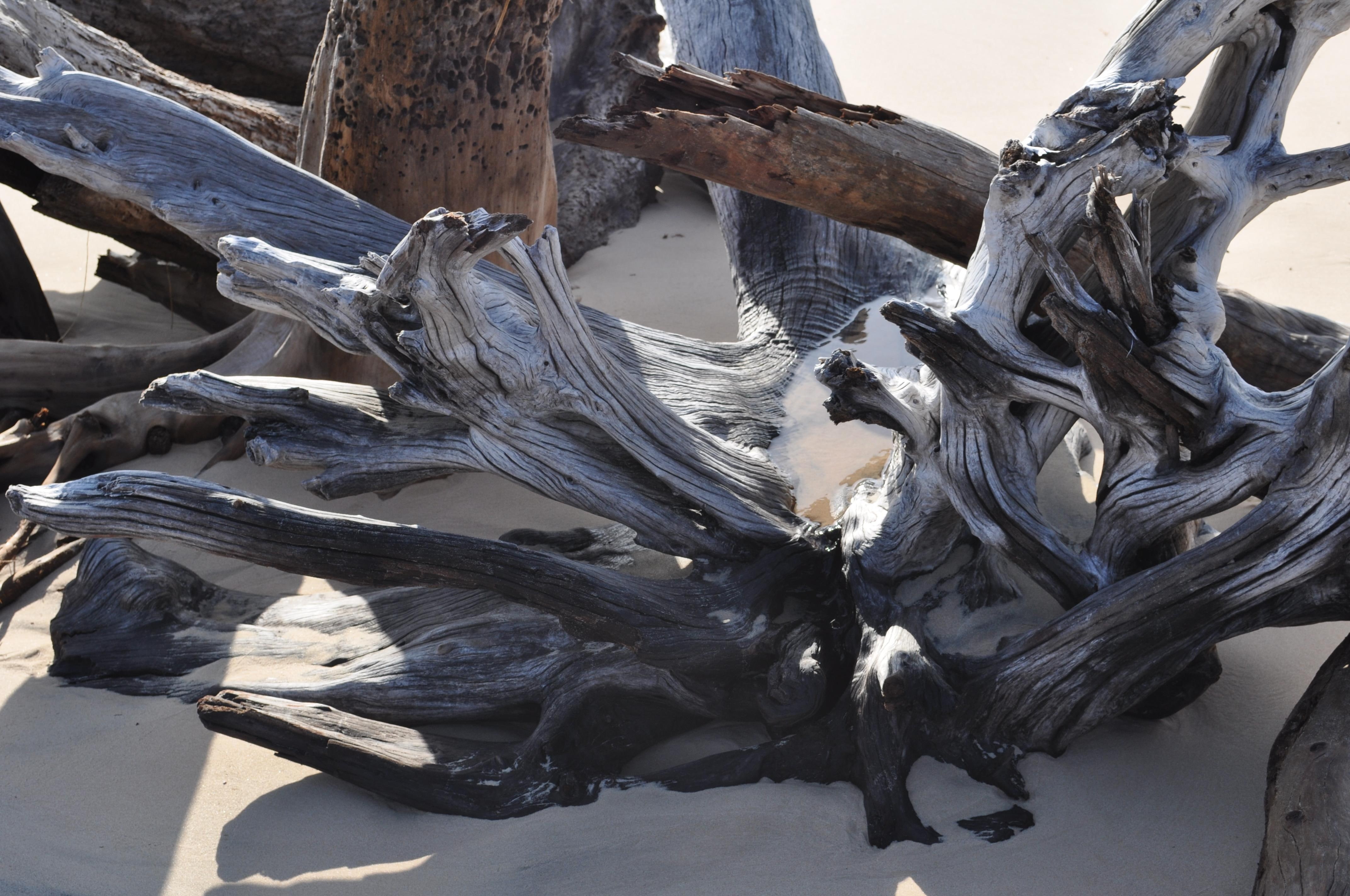 shadows, drift, sunlight, wood, early, abstract, 4K, morning, HD Wallpaper