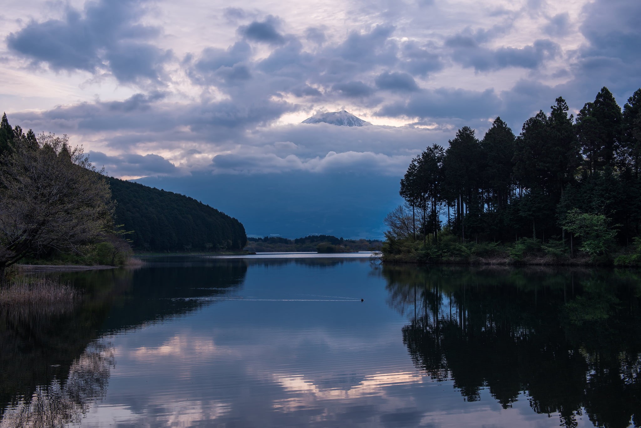 sunset, nature, tranquil scene, beauty in nature, plant, no people, pine, standing water, Japan, reflection, non-urban scene, Honshu, idyllic, mountain, HD Wallpaper