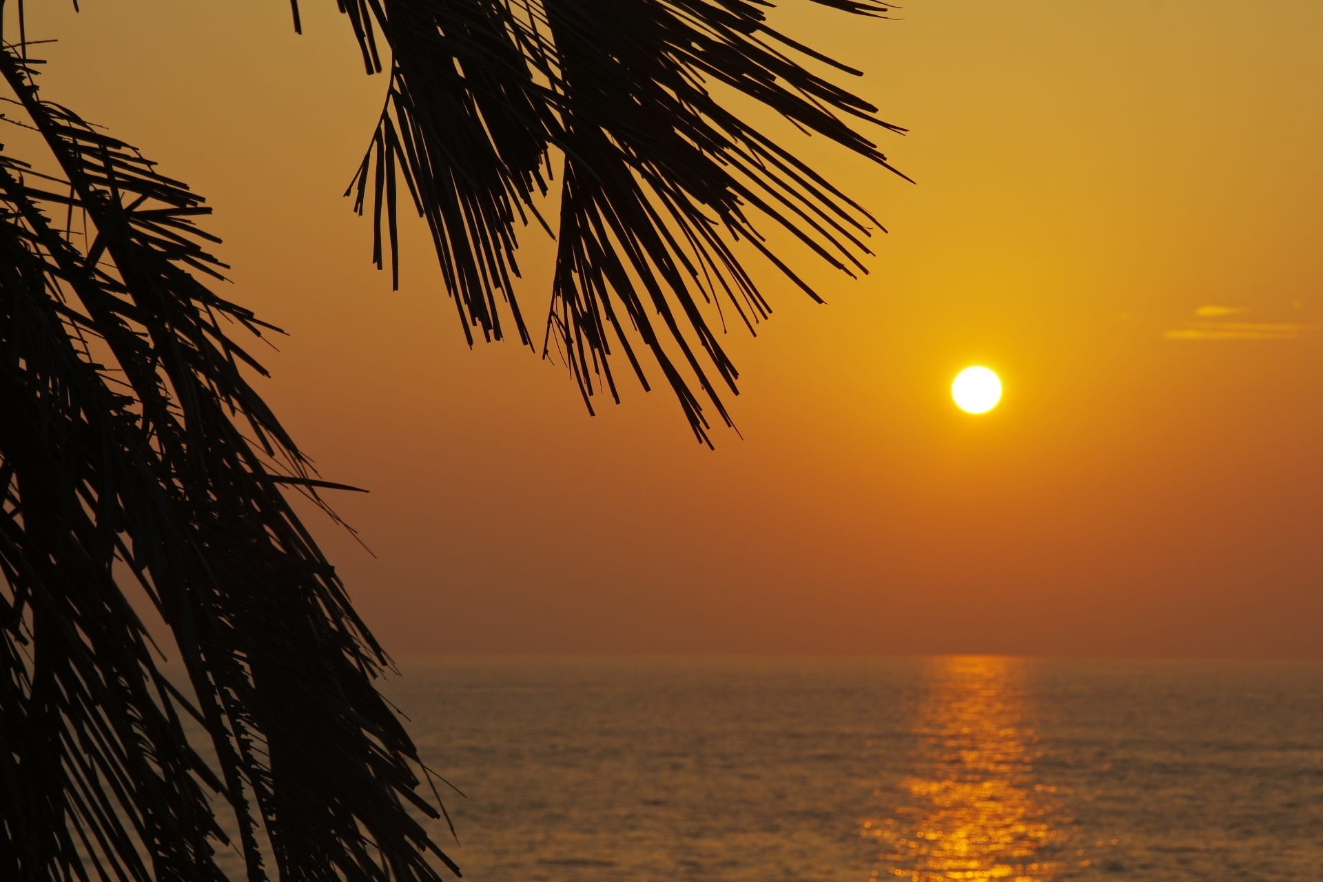 tropical climate, Shizuoka Prefecture, silhouette, light, natural, Sea, orange color, Asahi, sky, palm tree, tranquility, tranquil scene, nature, landscape, HD Wallpaper