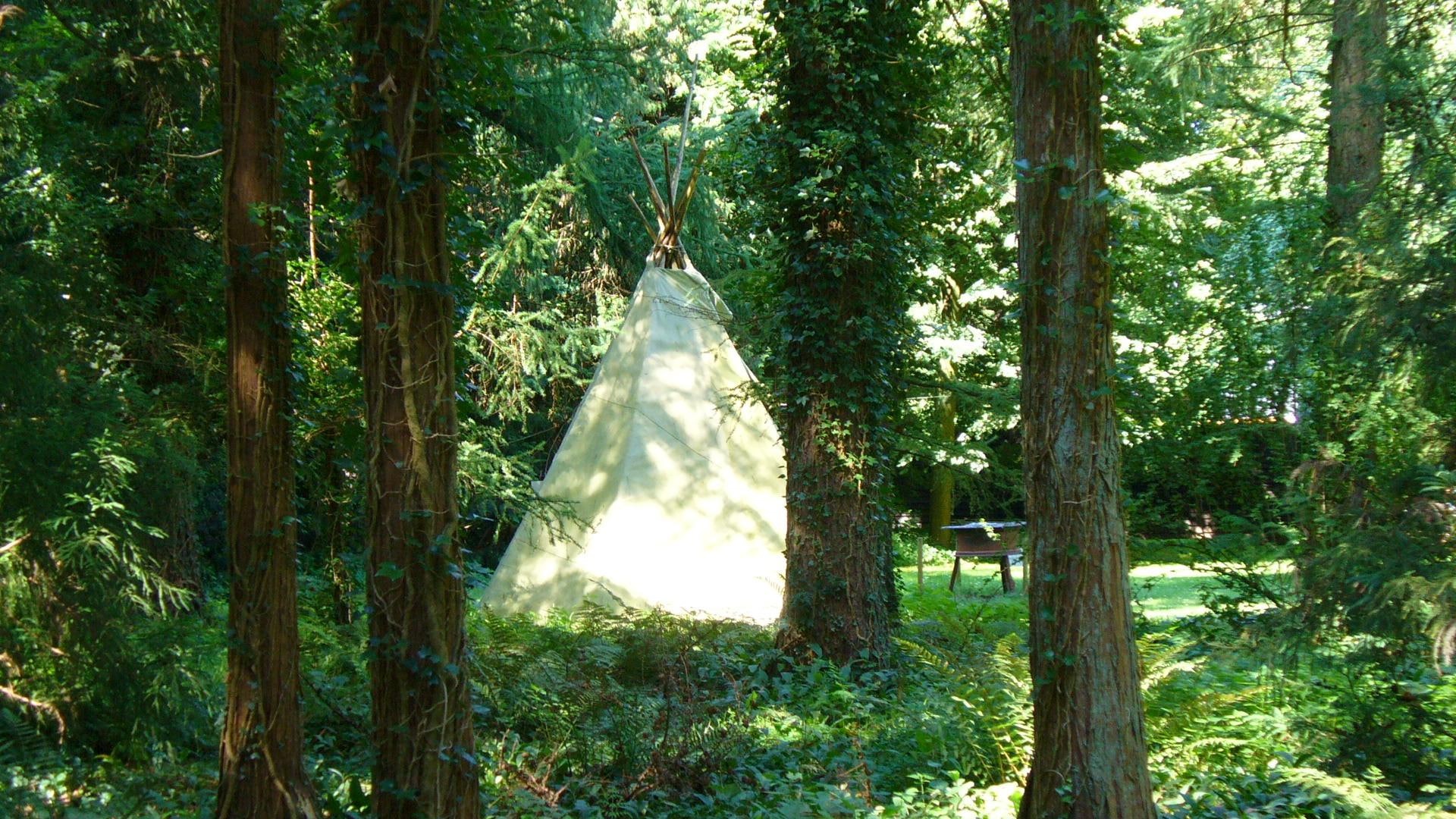 view, trees, forest, nature, arboretum, 1080P, tipi, tower, HD Wallpaper
