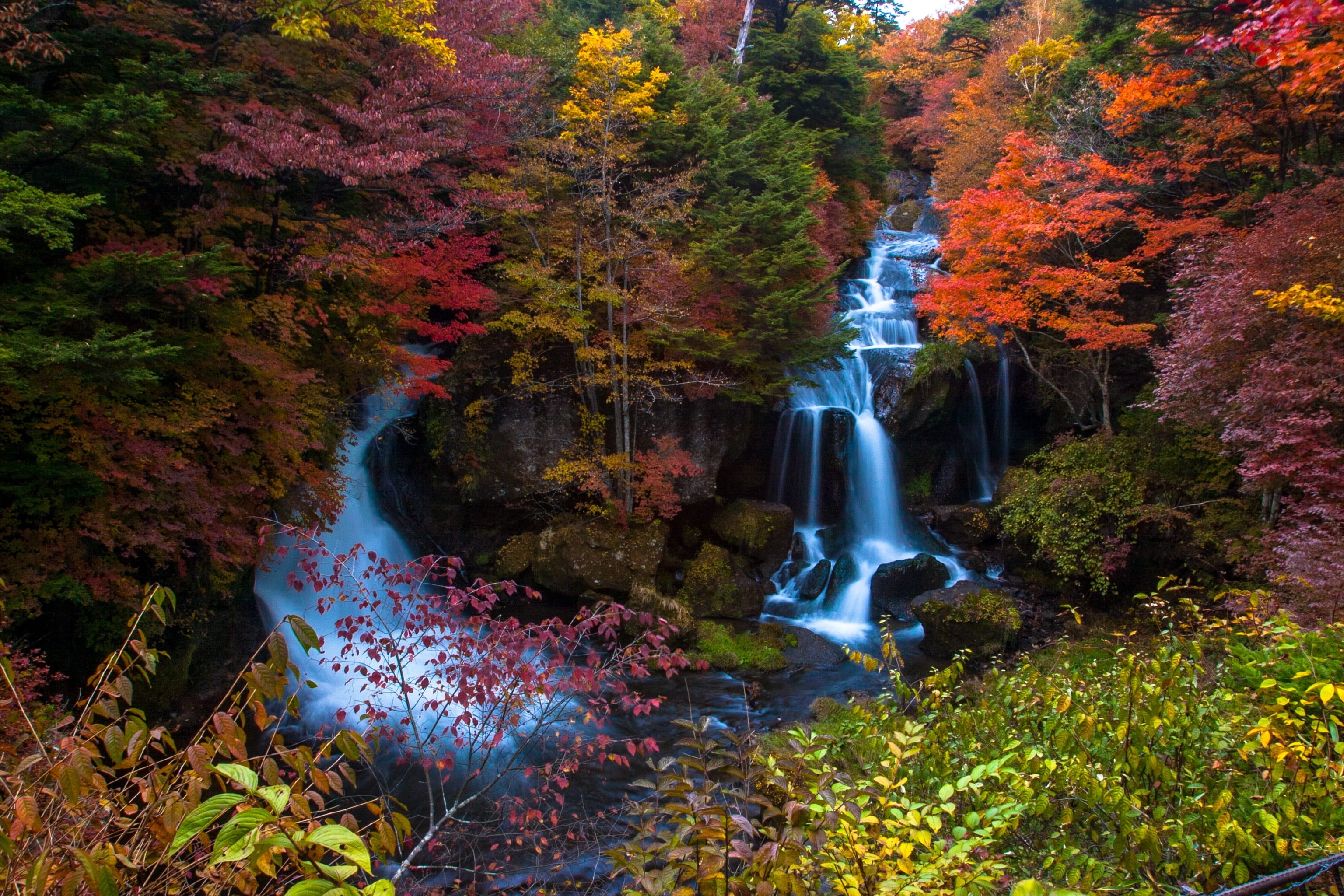 water, nature, outdoors, beauty in nature, autumn, trees, japan, sunlight, tranquility, wood, landscape, long exposure, autumnal leaves, land, growth, day, HD Wallpaper