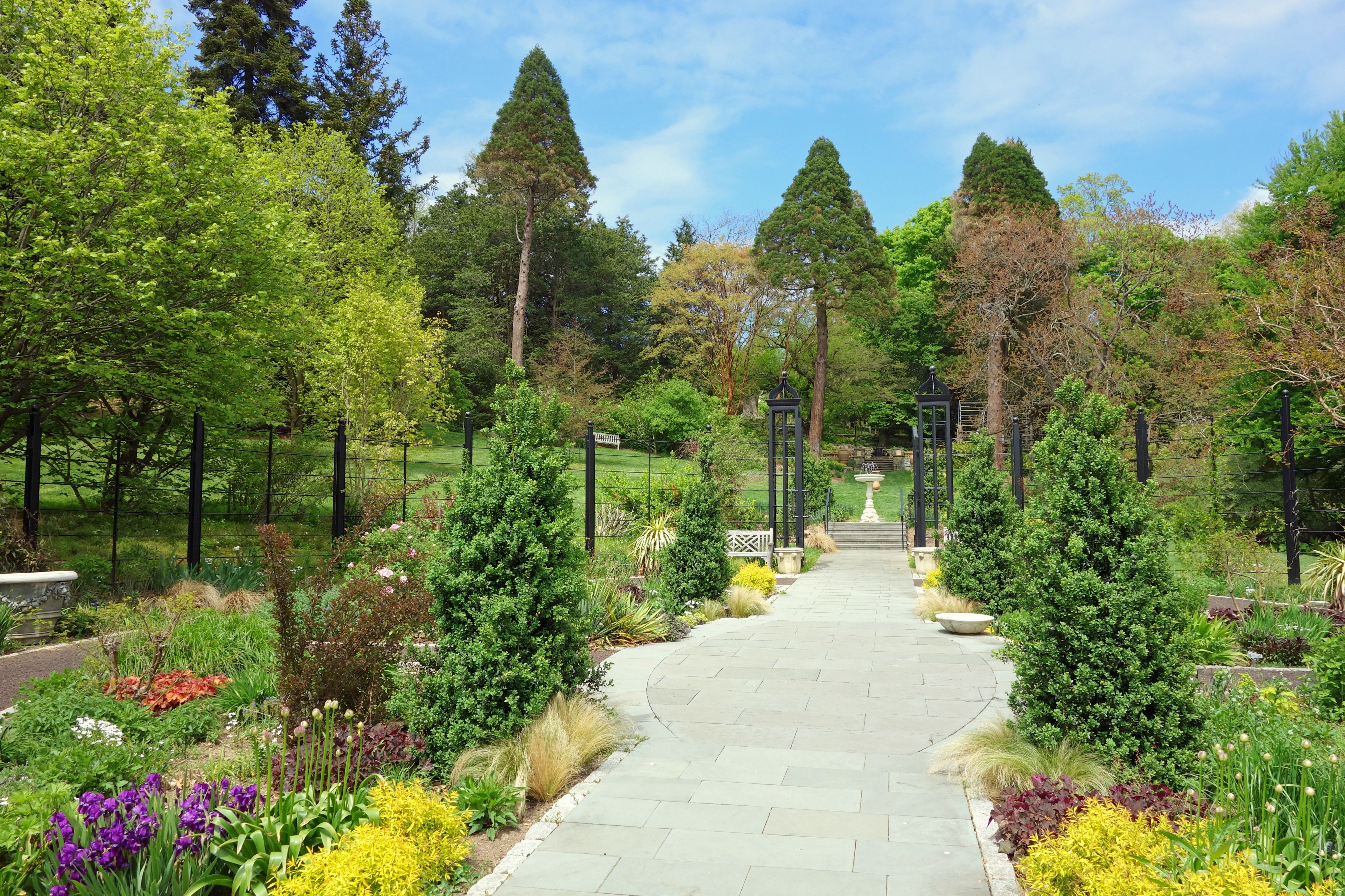 diminishing perspective, the way forward, walkway, flowers, park - man made space, green color, flowering plant, 5K, tree, park, trees, flower, plant, HD Wallpaper