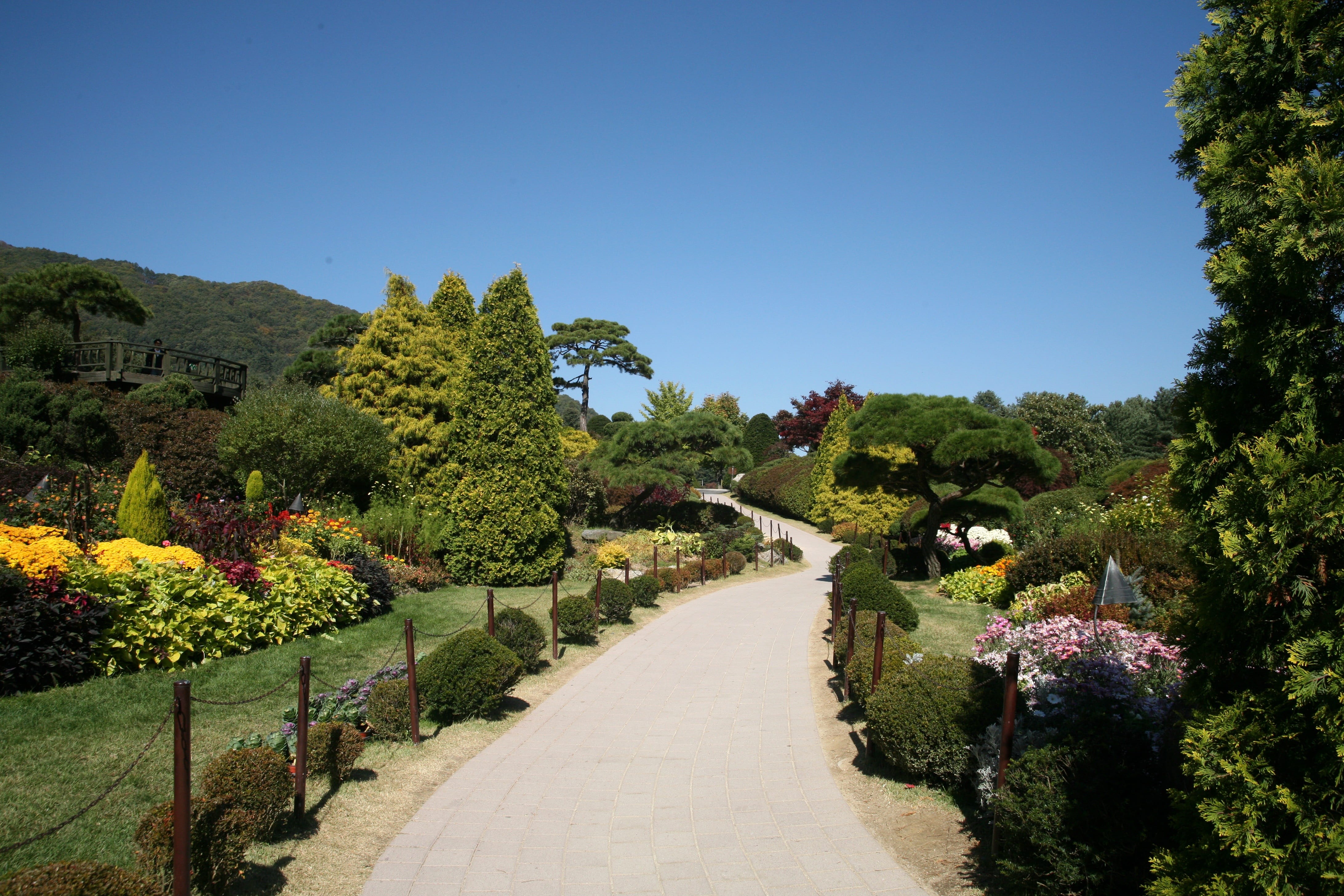 formal garden, landscape, no people, wood, tranquility, green color, footpath, park, sky, the way forward, growth, arboretum, seoul, tabitha, day, hedge, HD Wallpaper