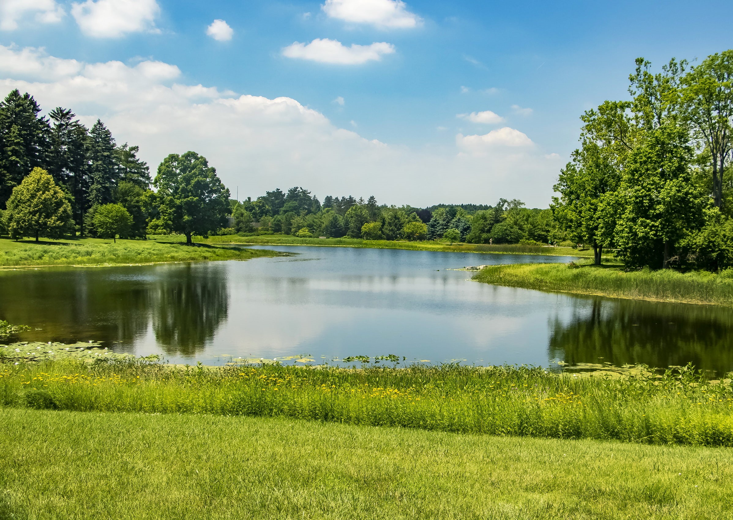 growth, outdoors, non-urban scene, Northern Illinois, Park, plant, scenics - nature, day, sky, cloud - sky, idyllic, trees, the sun, reflection, pond, lake, HD Wallpaper