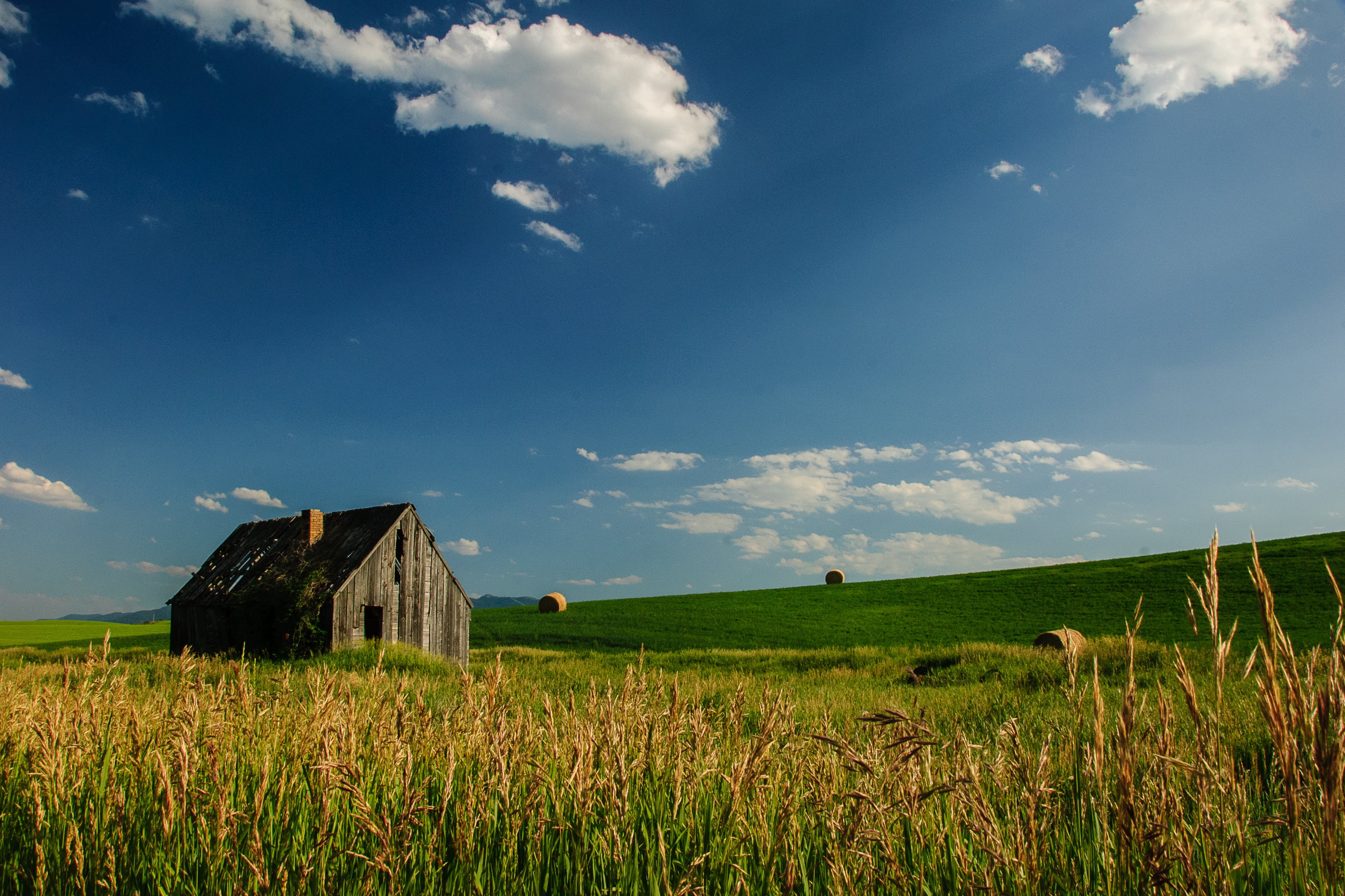 summer, farm, agriculture, rice mill, rice, barn, bales, grass, 2K, rural Scene, house, Idaho, mill, nature, field, sky, photo, landscape, HD Wallpaper
