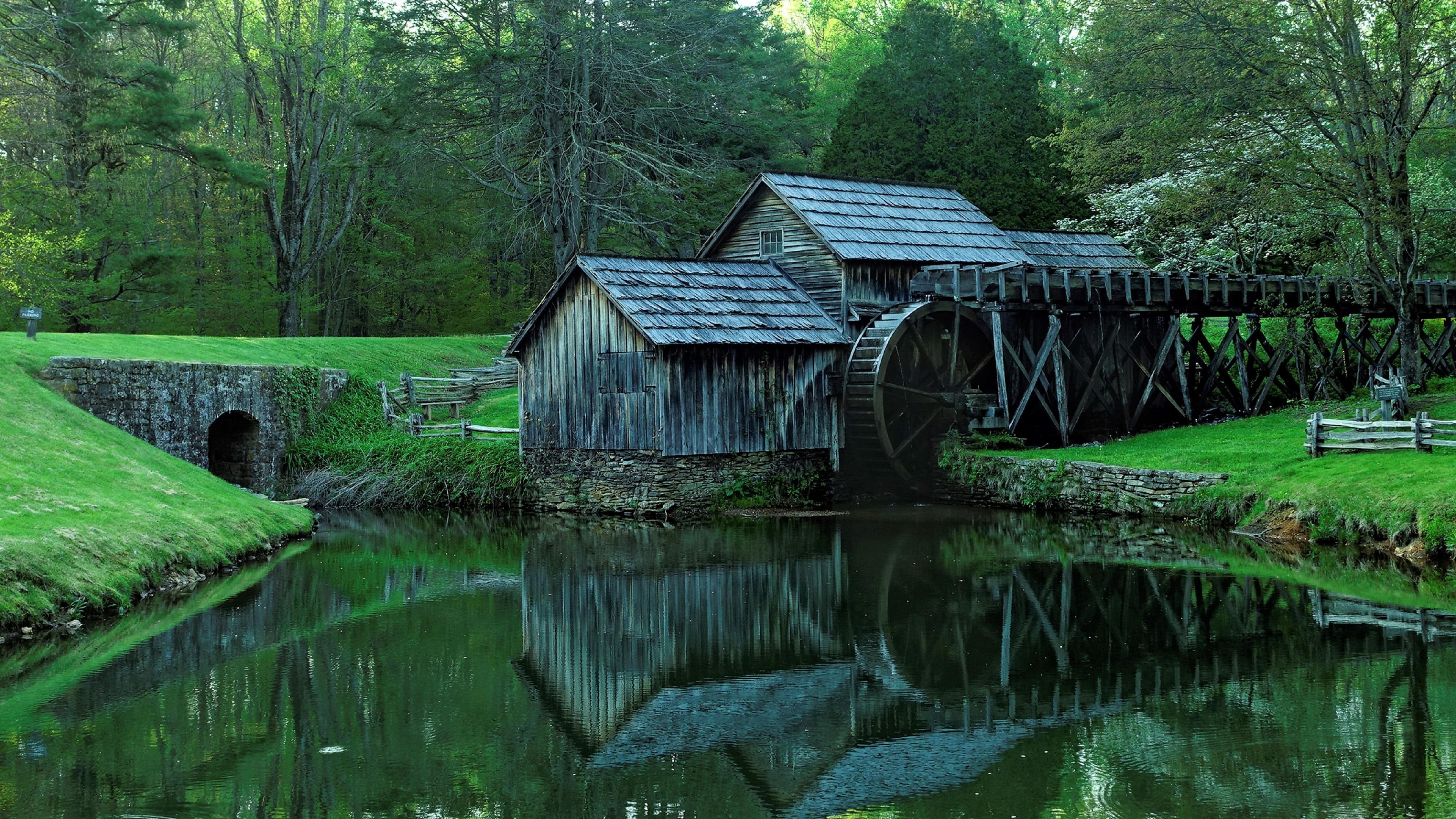 vegetation, usa, plant, mill, blue ridge parkway, united states, tree, 4K, meadows of dan, woodland, nature, nature reserve, landscape, water, virginia, HD Wallpaper