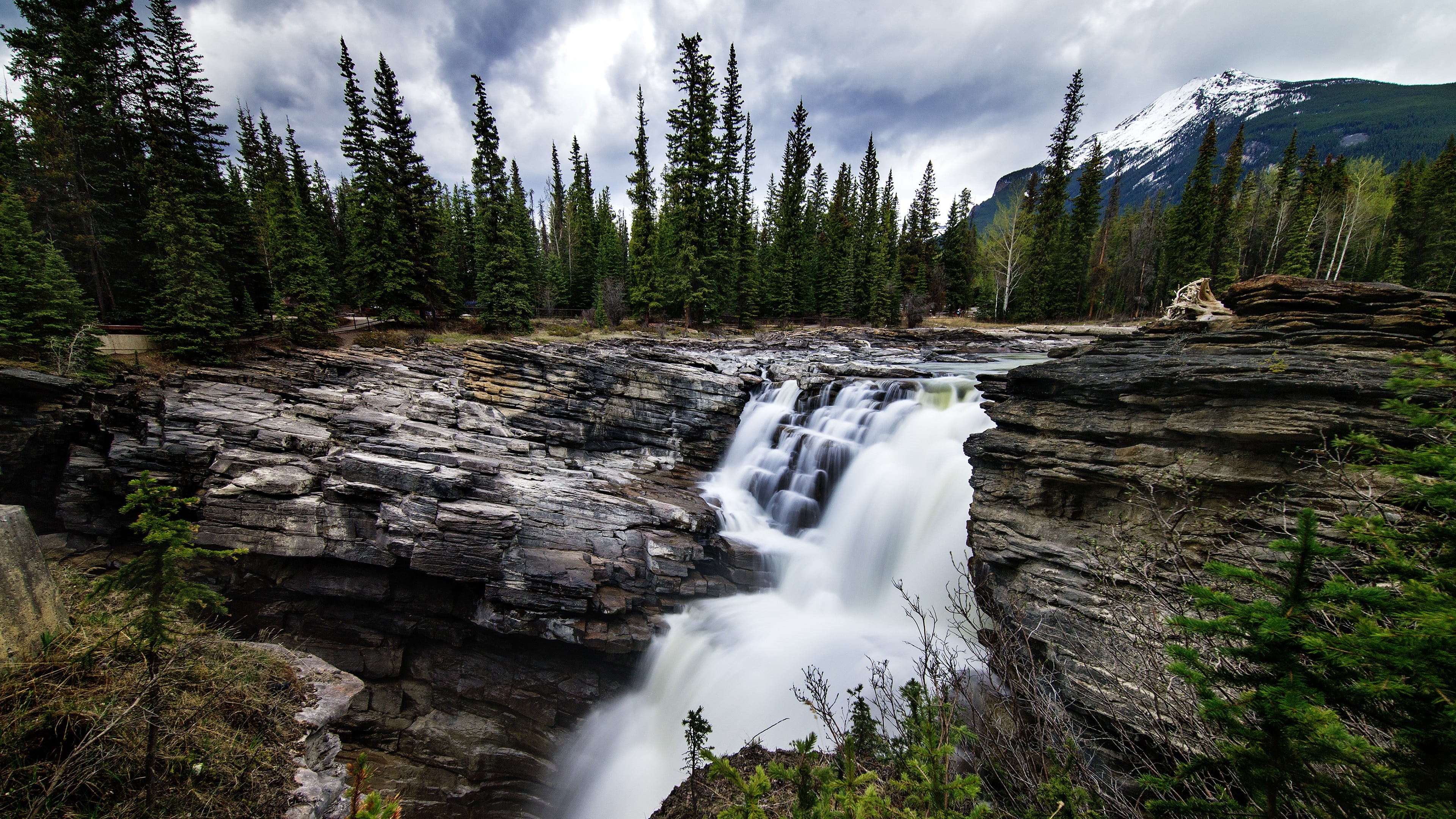 waterfalls, nature, 4K, tree, flowing water, coniferous tree, trees, day, non-urban scene, outdoors, motion, growth, long exposure, flowing, land, plant, HD Wallpaper