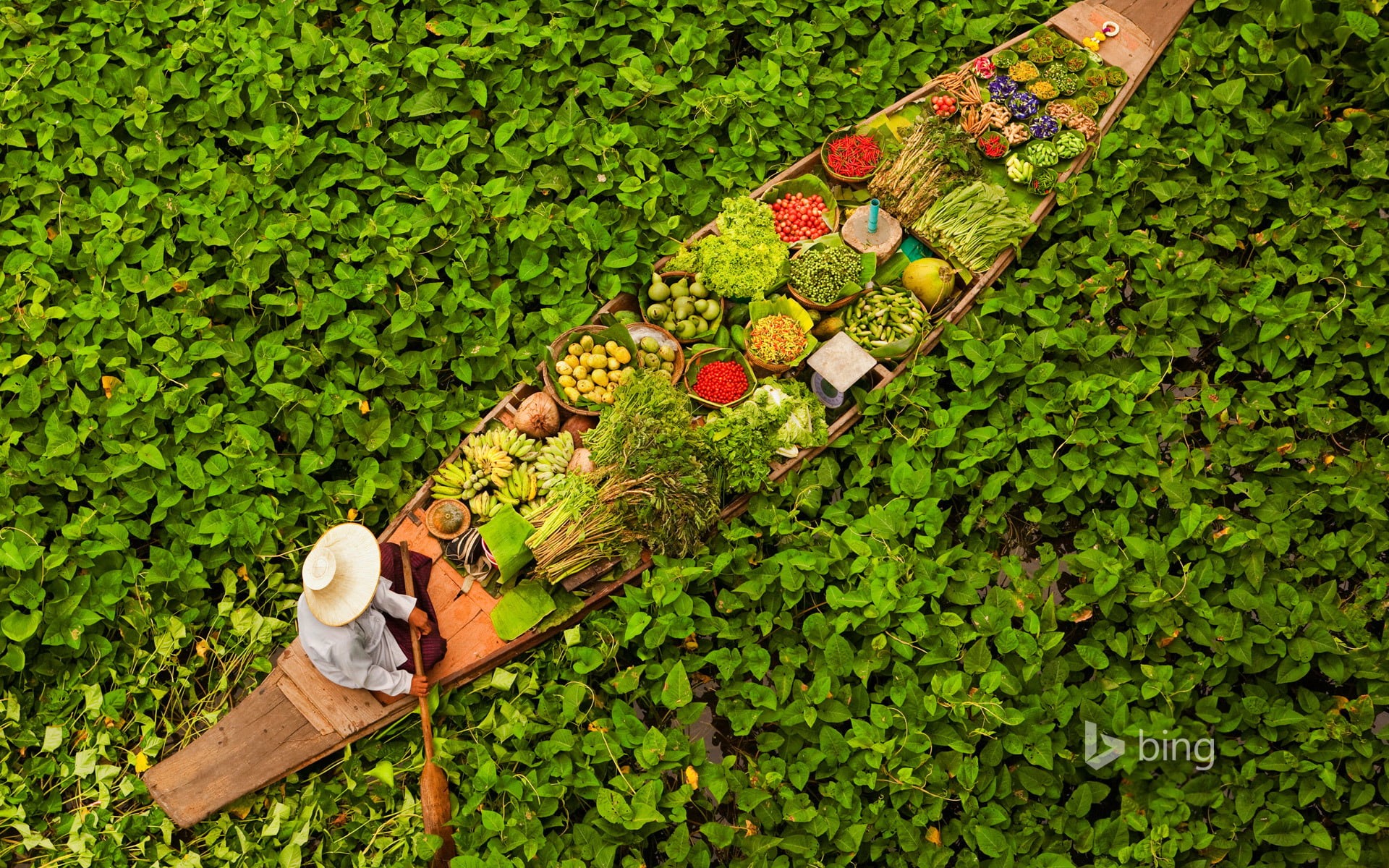 1080P, variety, leaves, one person, healthy eating, vegetables, boat, nature, floating market, Thailand, food, abundance, day, beauty in nature, plant, HD Wallpaper