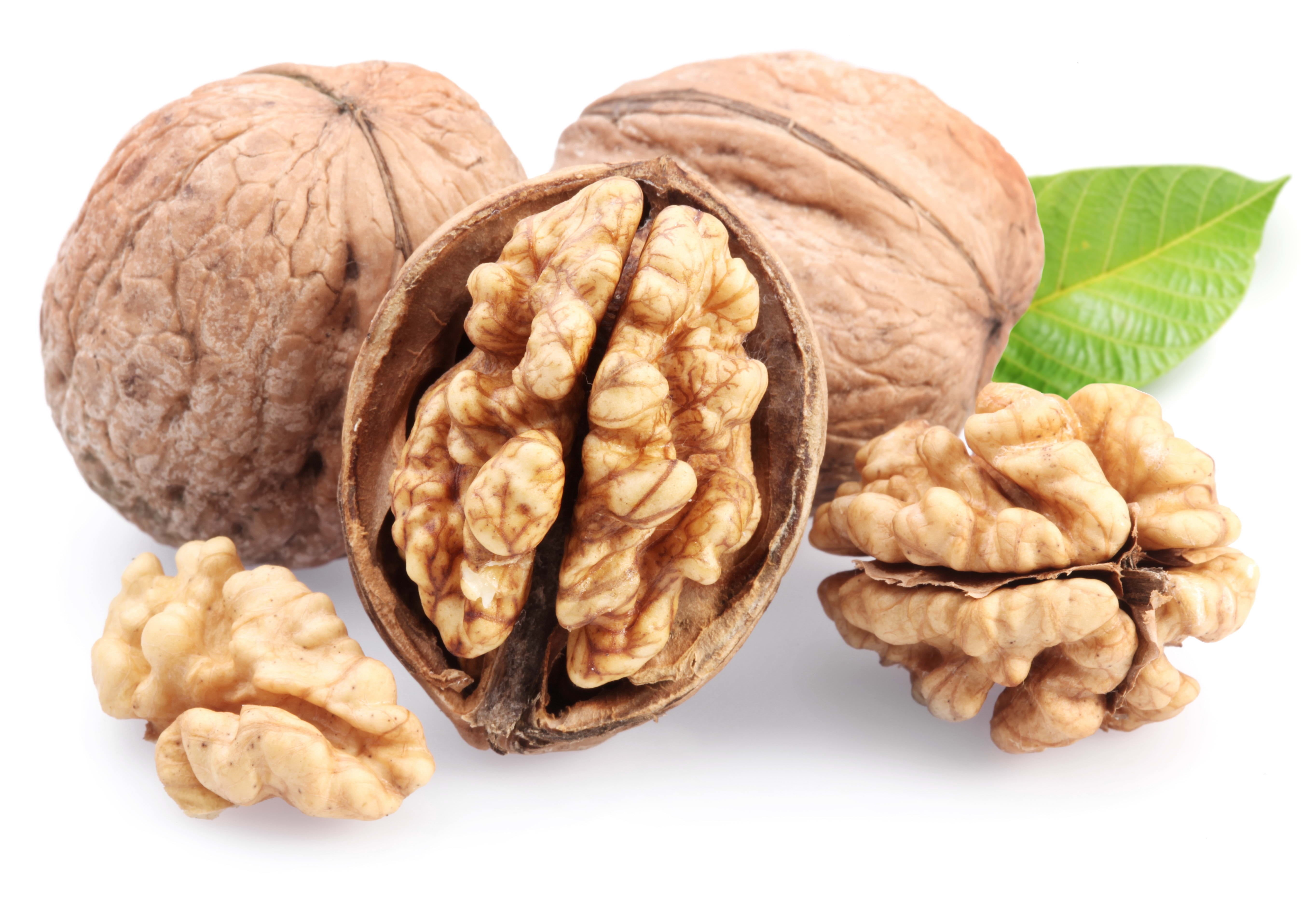 refreshment, white Background, studio shot, walnut, food And Drink, isolated On White, dieting, 5K, cut out, close-up, nut, white, herb, backgrounds, dried Food, HD Wallpaper
