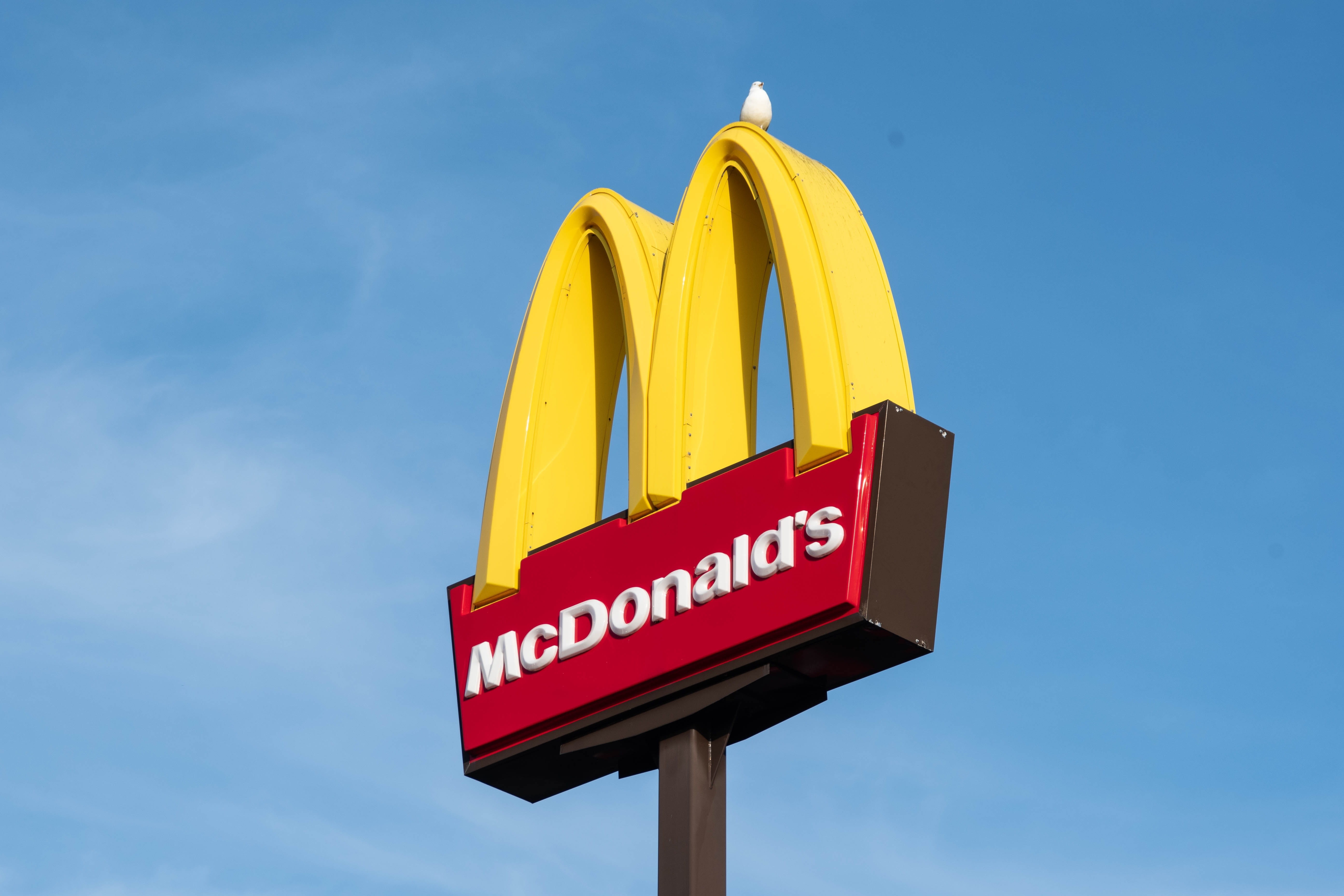 capital letter, sandwich, nature, information, coke, pole, fried, barbecue, chicken, eat, symbol, high section, burger, sign, cheese, western script, blue, HD Wallpaper