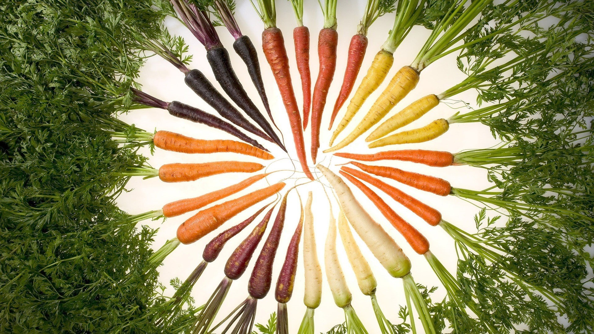 1080P, striped, close-up, outdoors, orange color, green color, no people, vegetables, plant, field, arrangement, day, grass, wellbeing, pattern, food, HD Wallpaper