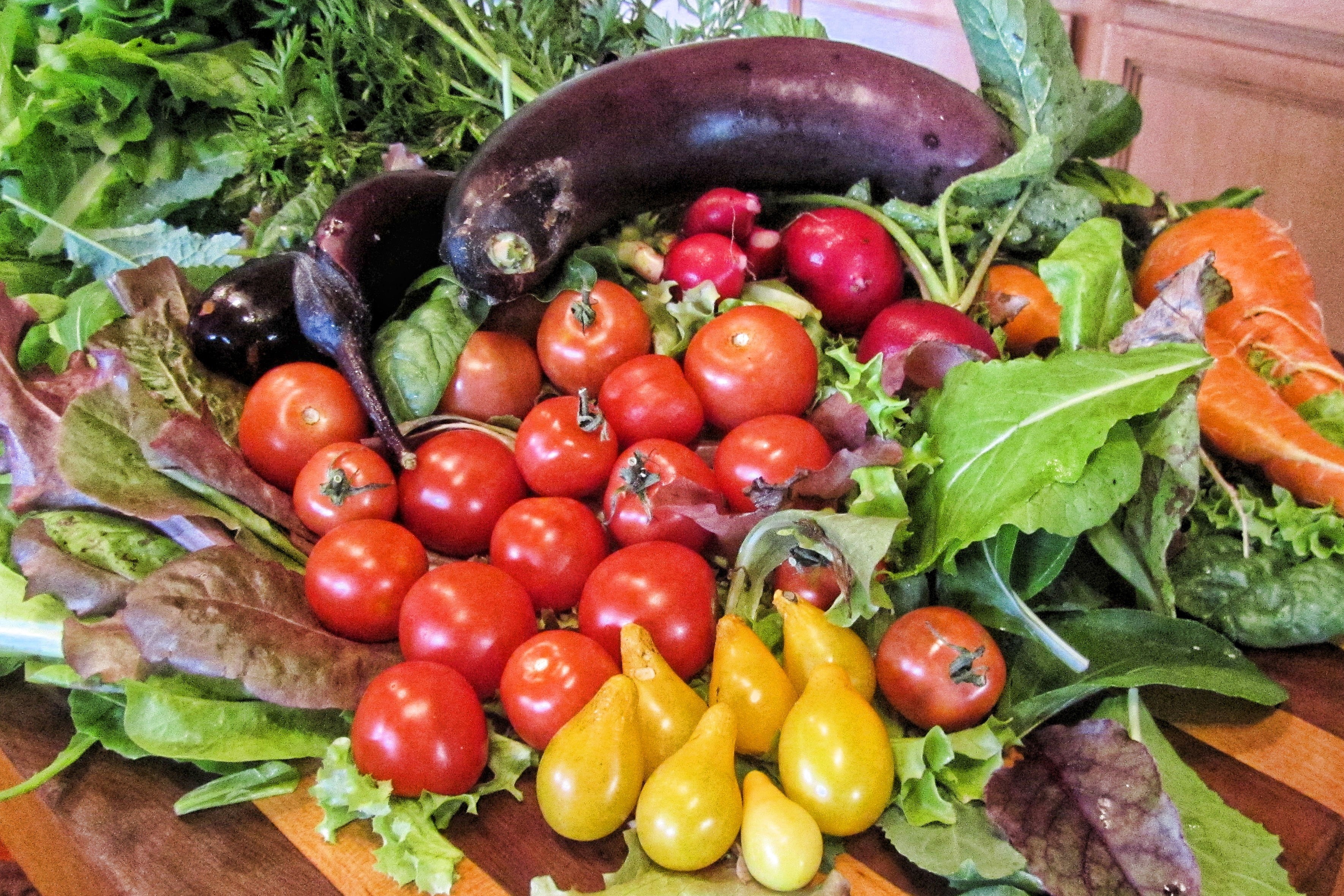 green, fruit, cuisine, color, organic, container, variation, ingredient, large group of objects, fresh, raw, salad, lunch, food and drink, herb, yellow, HD Wallpaper