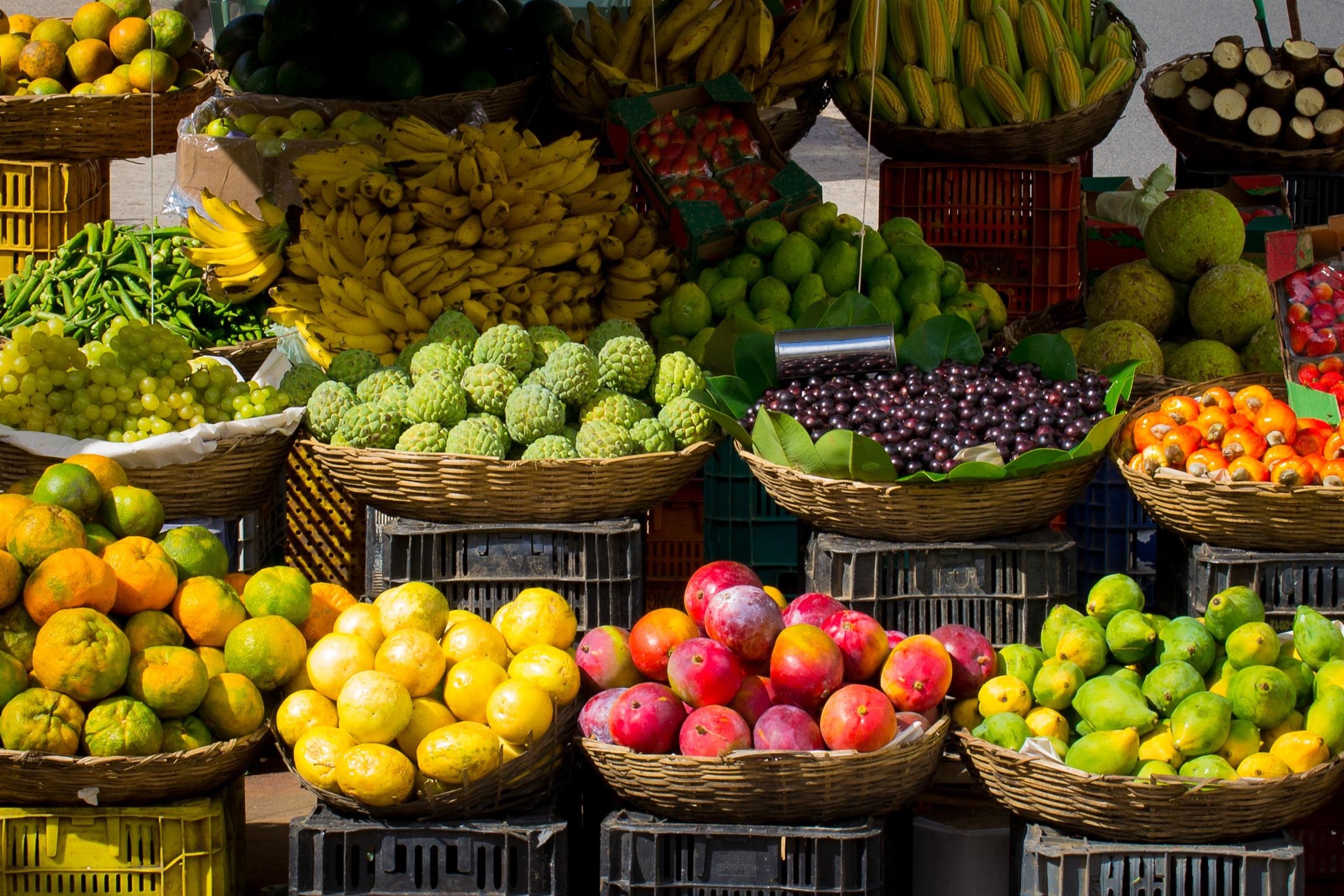 raw, food and drink, arrangement, vegetable, wellbeing, large group of objects, food, market stall, photo, freshness, healthy, baskets, no people, business, HD Wallpaper