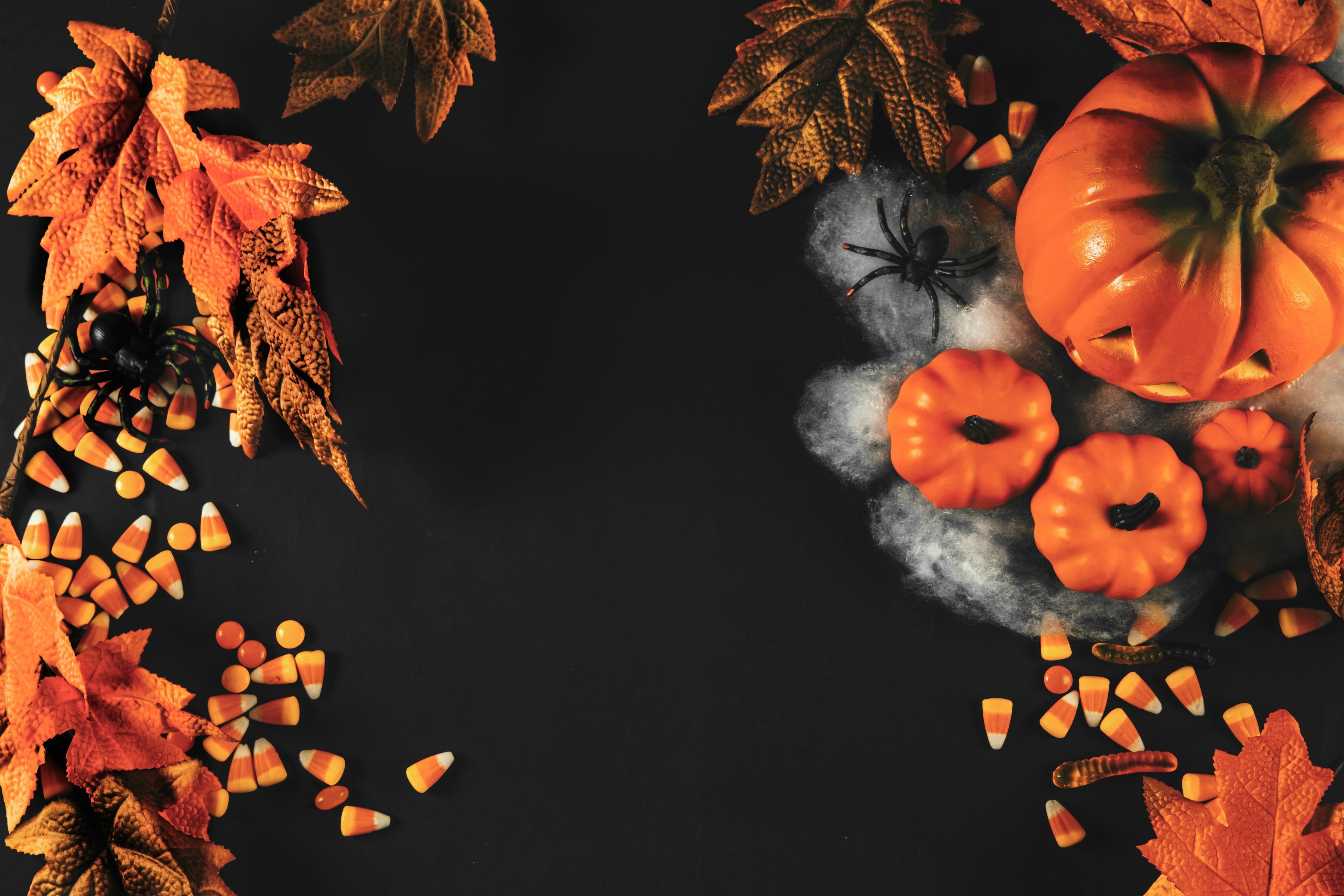 still life, orange color, change, food, leaf, plant part, autumn, food and drink, no people, leaves, Halloween, decoration, healthy eating, 4K, wellbeing, HD Wallpaper