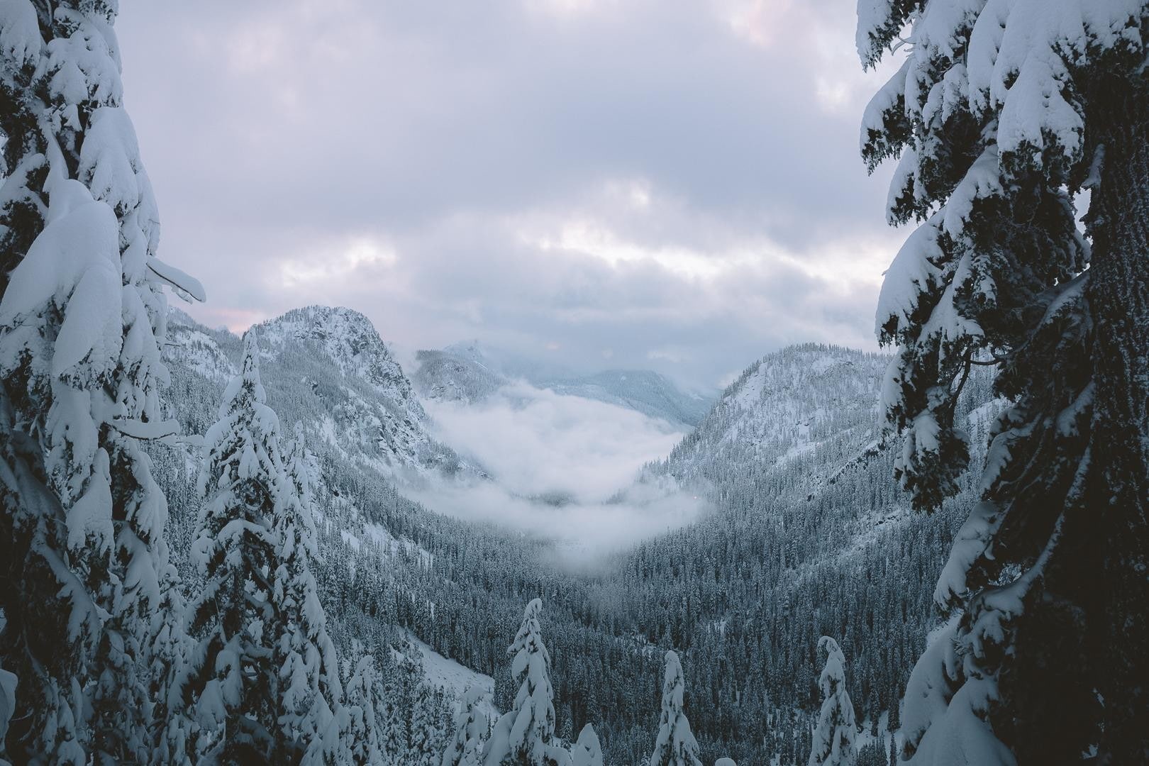 white color, tranquility, mountain, scenics - nature, winter, tree, snow, beauty in nature, plant, non-urban scene, 720P, tranquil scene, landscape, environment, HD Wallpaper