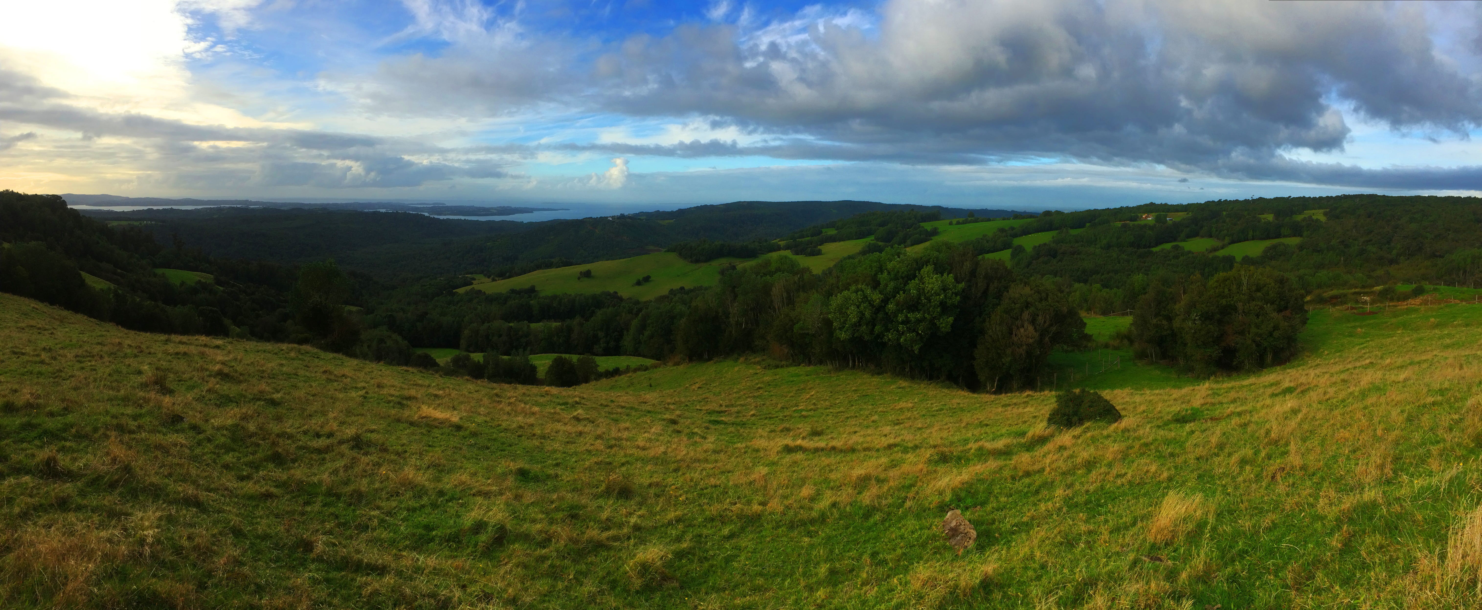 nature, sky, sur de chile, chile, green color, paisajes, plant, conservation, rolling landscape, bosques, cloud - sky, no people, tree, non-urban scene, HD Wallpaper