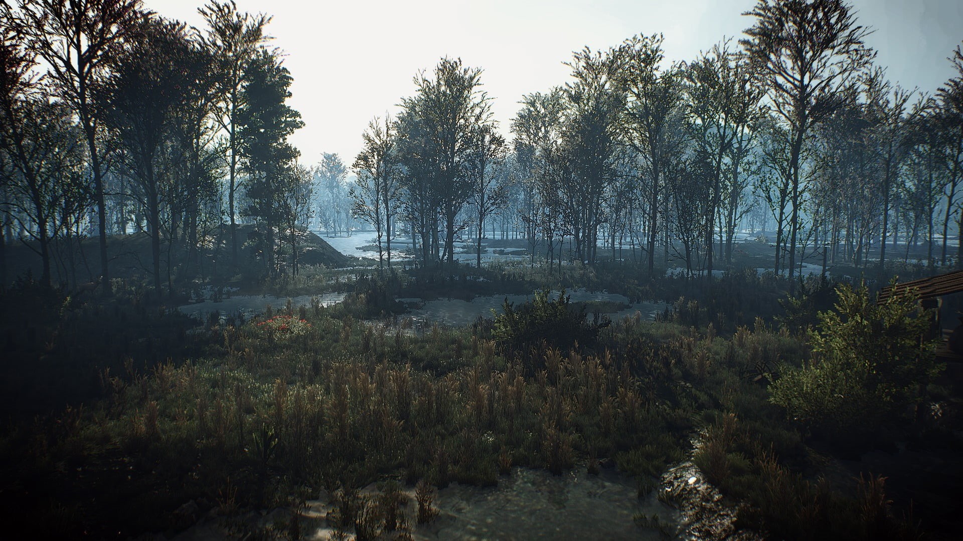 beauty in nature, The Witcher 3: Wild Hunt, land, tranquil scene, leafed, day, idyllic, non-urban scene, 1080P, water, tree, environment, sky, tranquility, HD Wallpaper