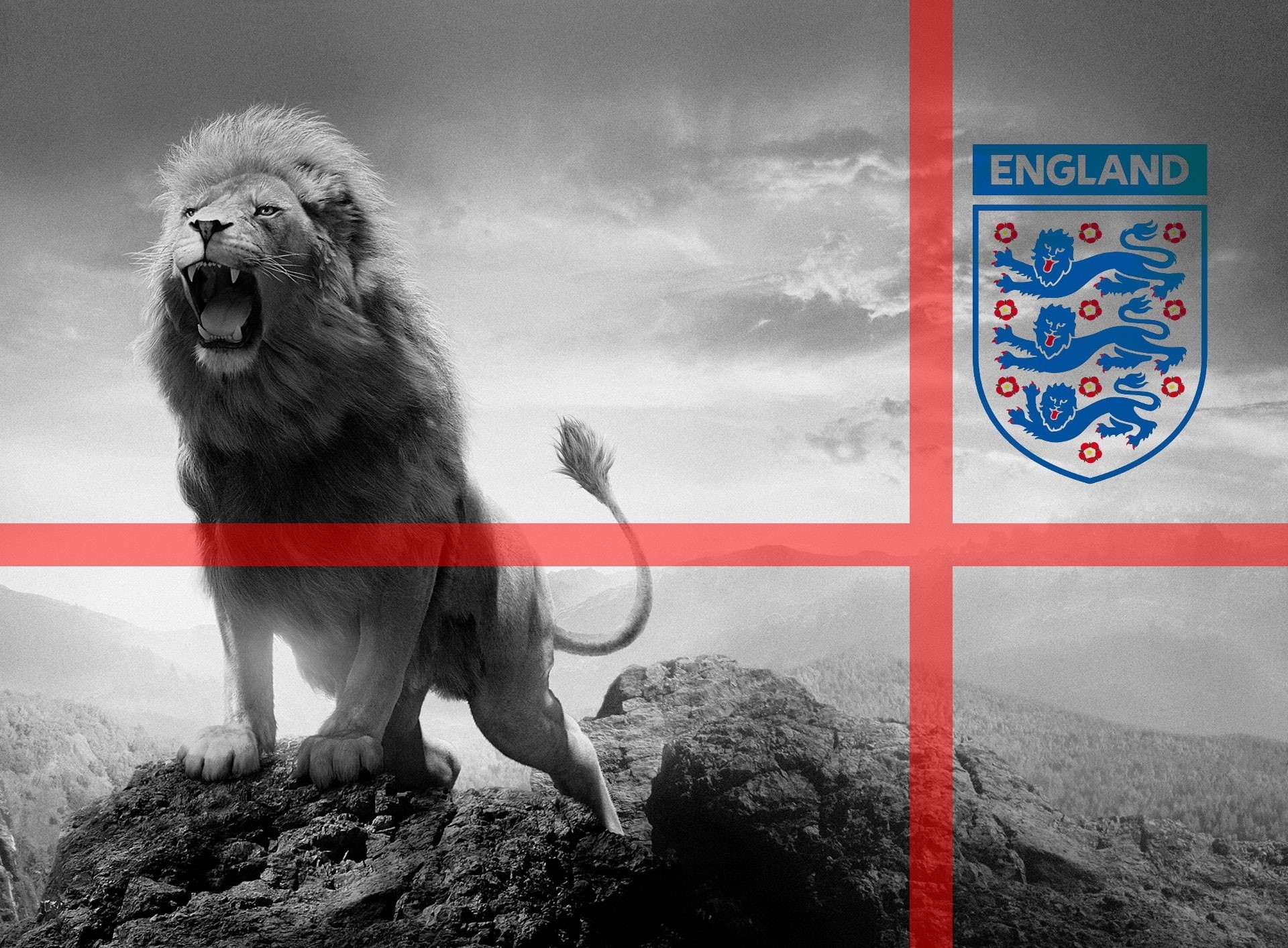 animal wildlife, lion, looking, mammal, animals in the wild, 1080P, lions, no people, Sports, day, looking away, vertebrate, england, Football, full length, HD Wallpaper