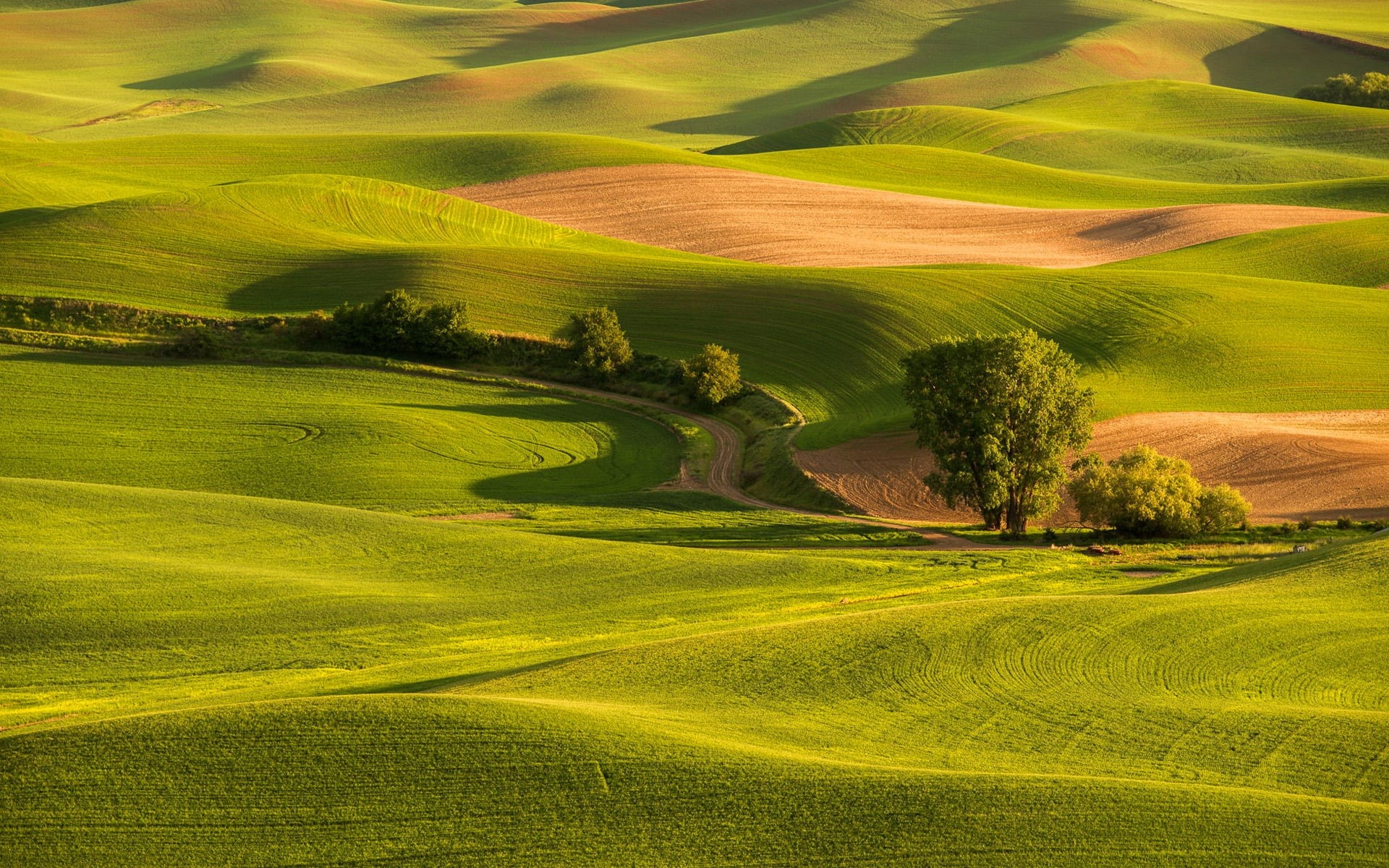 1080P, Fields, Green, Hills, Road, Trees, Grass, HD Wallpaper