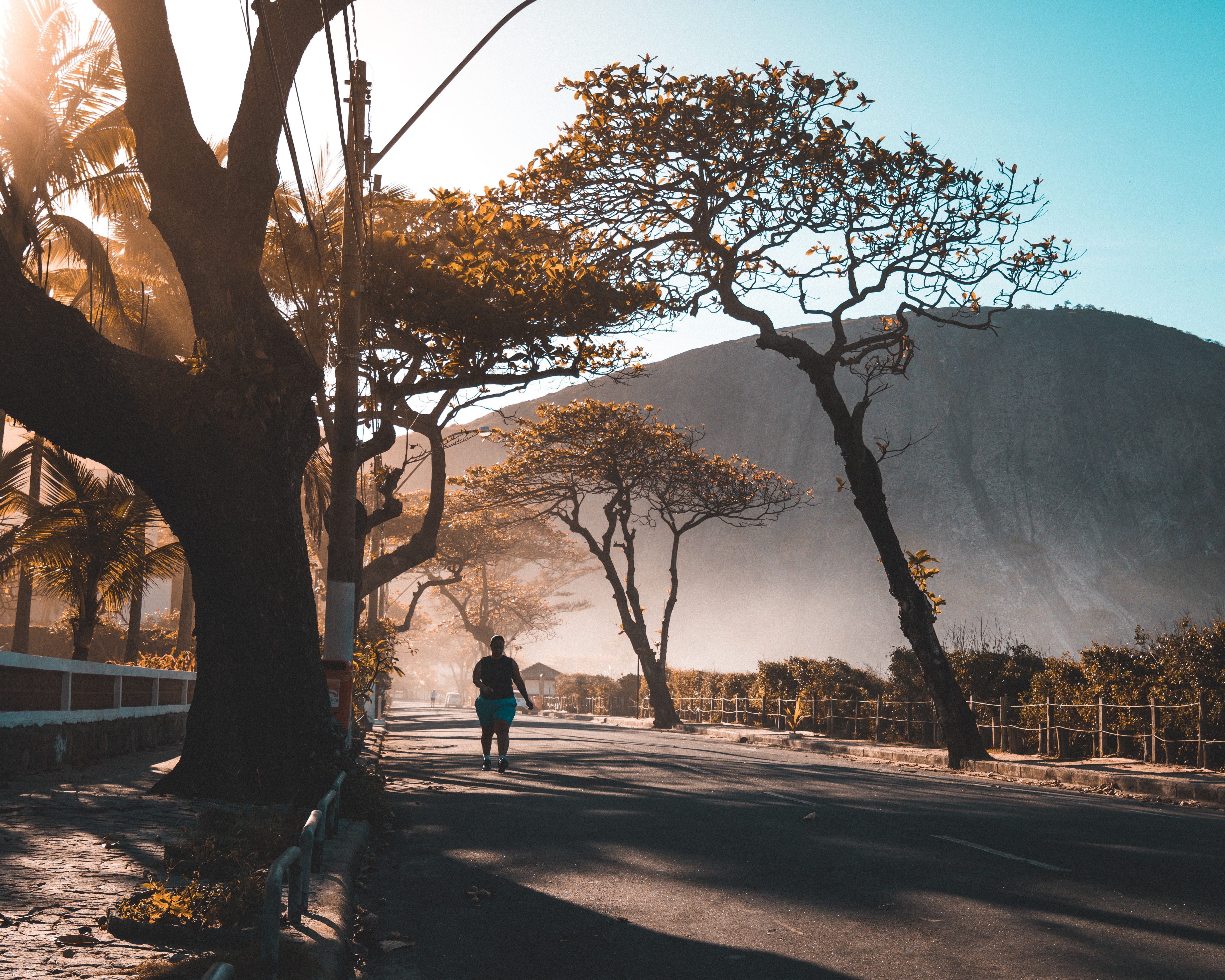 beauty in nature, plant, 4K, outdoors, trunk, sky, road, person, growth, landscape, niteroi, human, leisure activity, transportation, brasil, sports, sunlight, HD Wallpaper