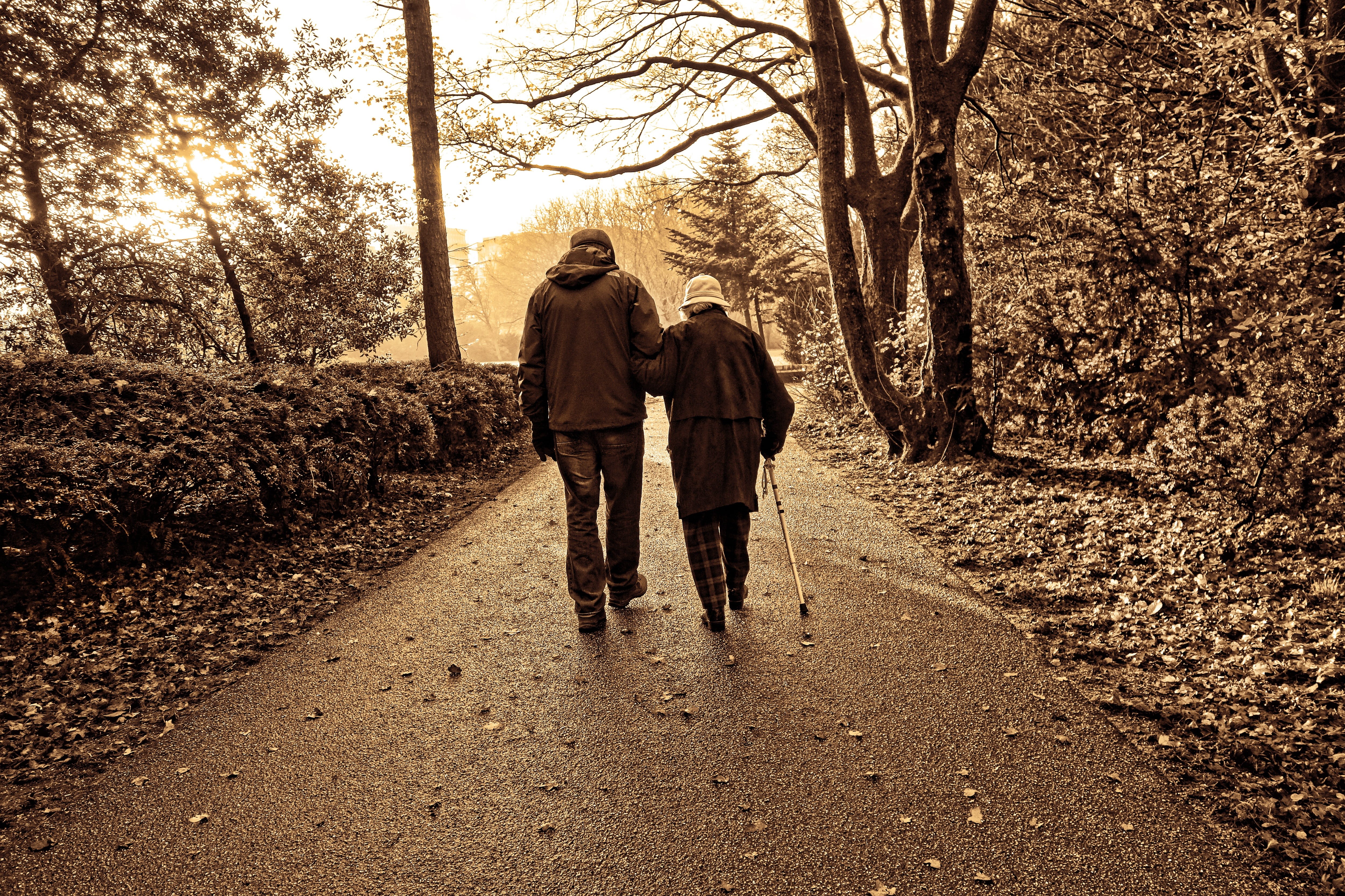 monochrome, park, along, women, impaired vision, blind, togetherness, path, 4K, arm in arm, bonding, concrete, warm clothing, love, elderly couple, tree, HD Wallpaper