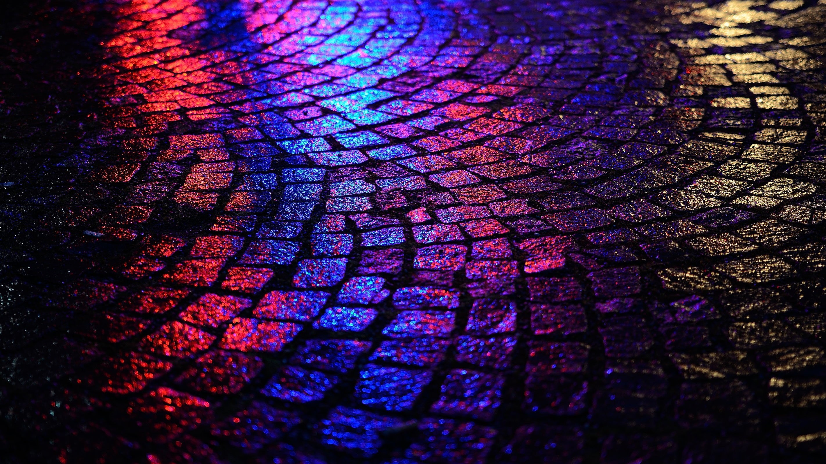 purple, night, creativity, cobblestone, road, floor, bark, red, yellow, nature, selective focus, 2K, close-up, pavements, outdoors, backgrounds, abstract, HD Wallpaper