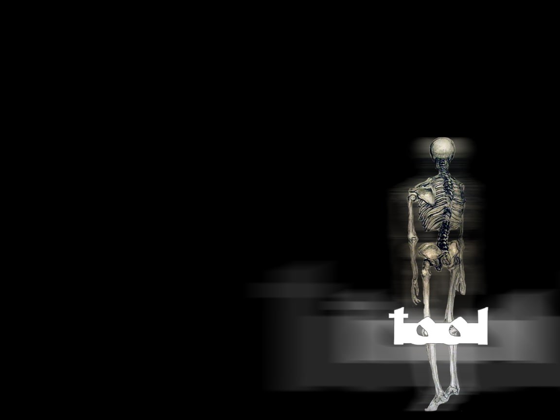 480P, tool, music, cover, album, skeleton, hd, HD Wallpaper