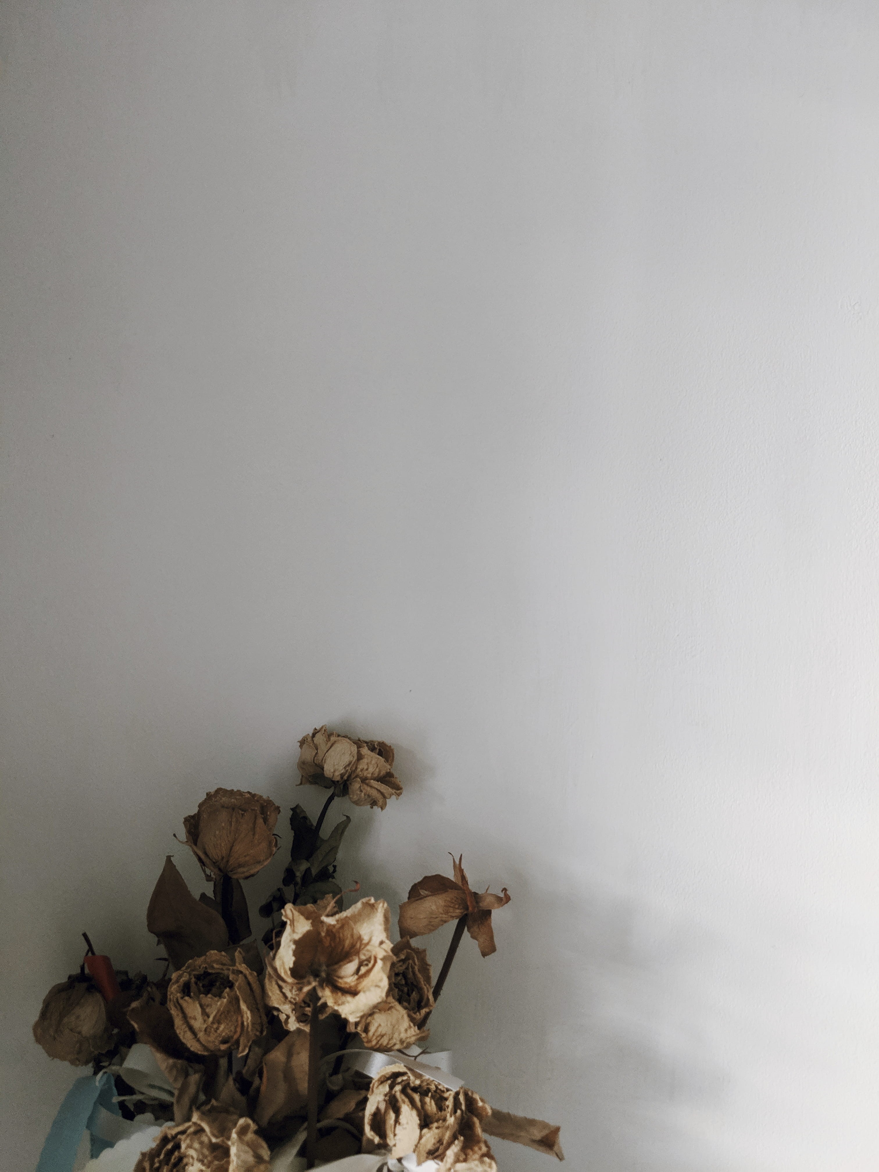 roses, dried plant, dead plant, wilted, still life, decor, dry, table, bouquet, close-up, dried, beauty in nature, no people, wall - building feature, vulnerability, Phone HD Wallpaper