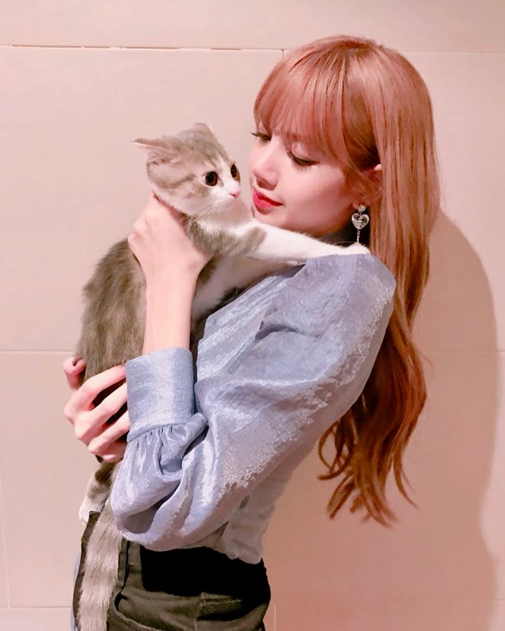 cat girl, Lisa (BLACKPINK), Lisa, Asian, 720P, Phone HD Wallpaper