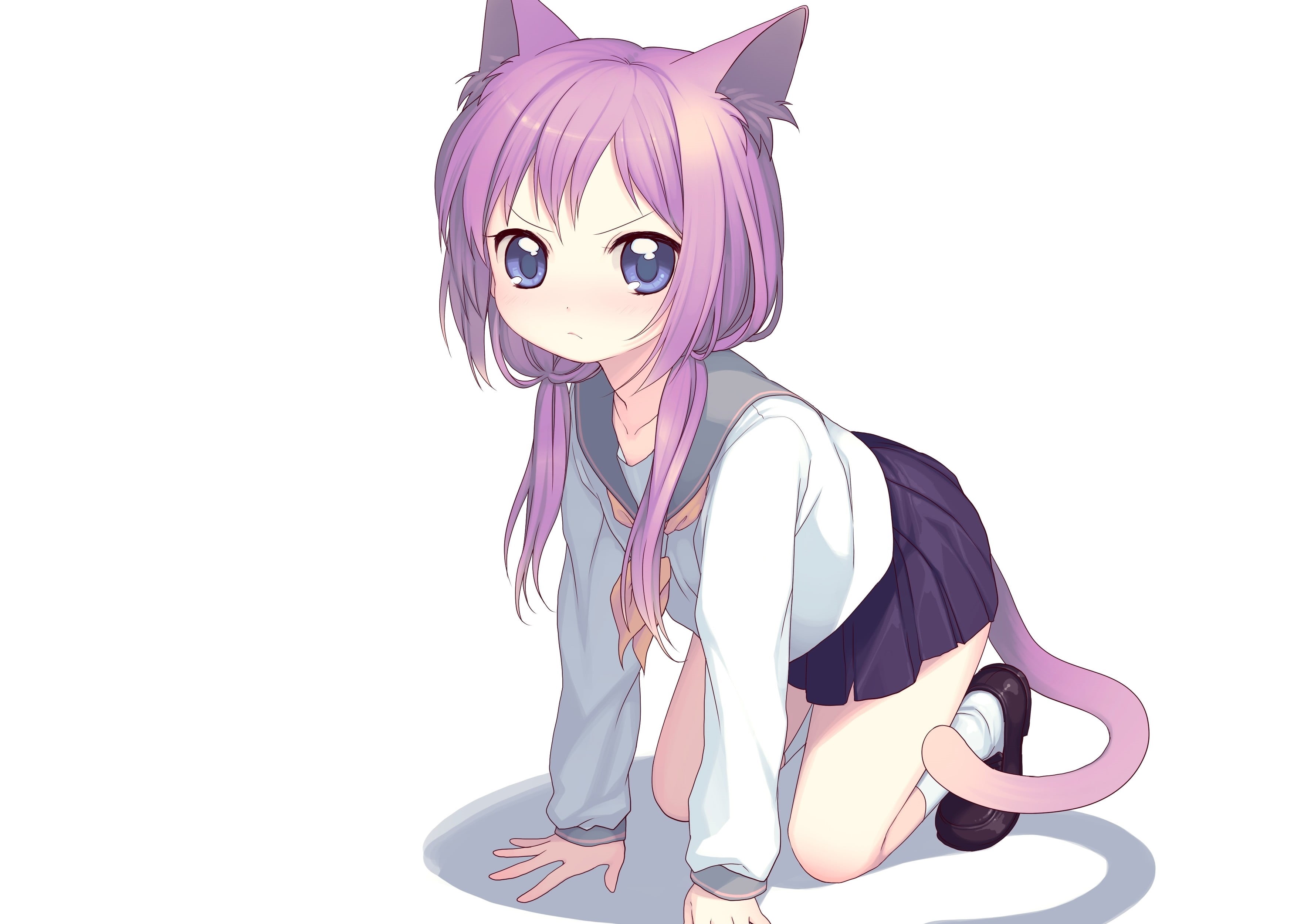 indoors, adult, anime girls, portrait, white background, purple, cat girl, one person, young adult, waist up, 2K, hairstyle, cut out, nekomimi, copy space, HD Wallpaper