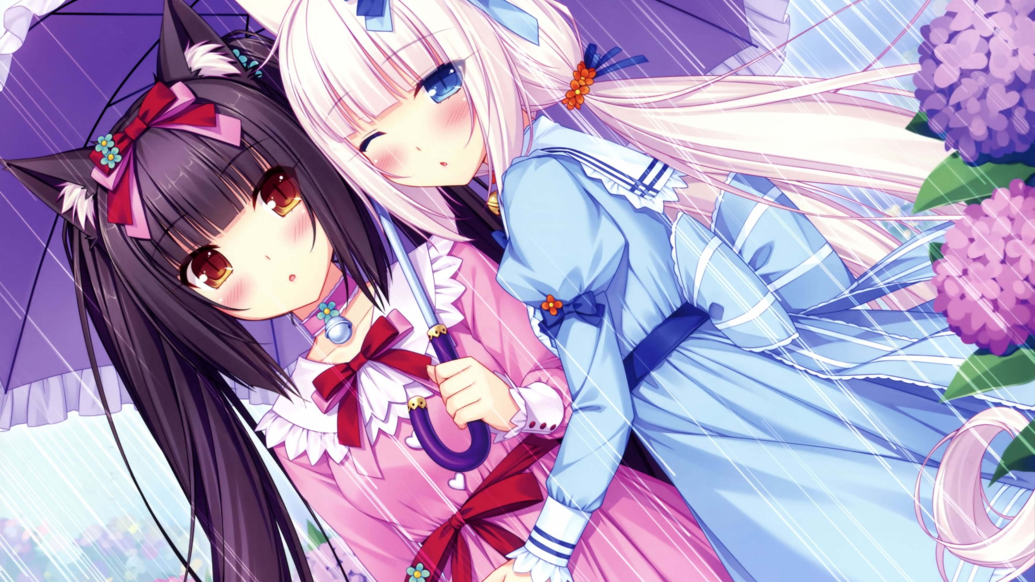 pink color, white, Neko Para, large group of objects, childhood, women, 2K, character, toy, blue, day, clothing, hairs, nature, Chocolat (Neko Para), multi colored, HD Wallpaper