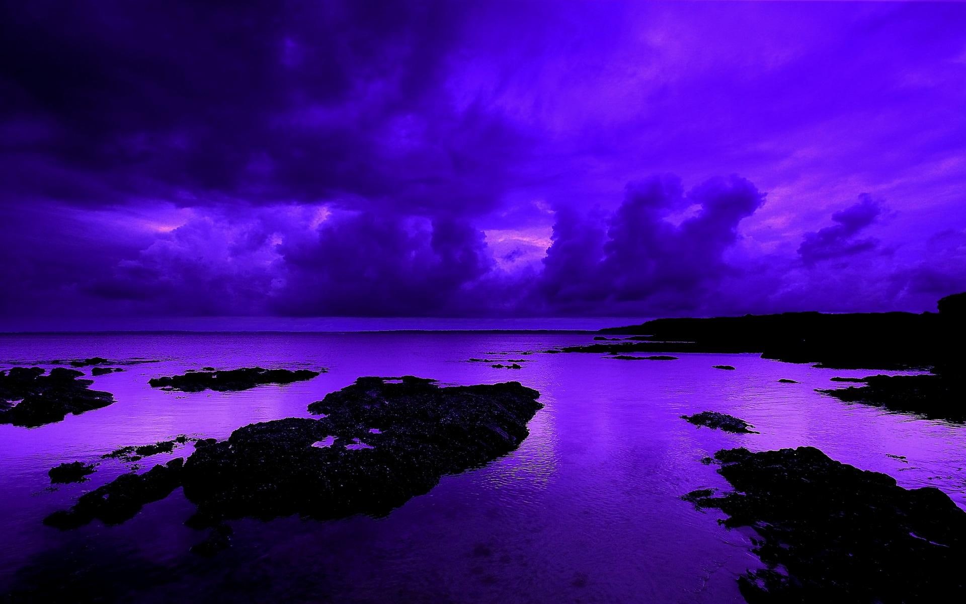 violet, 3d and abstract, beauty, purple, night, 1080P, extreme, HD Wallpaper