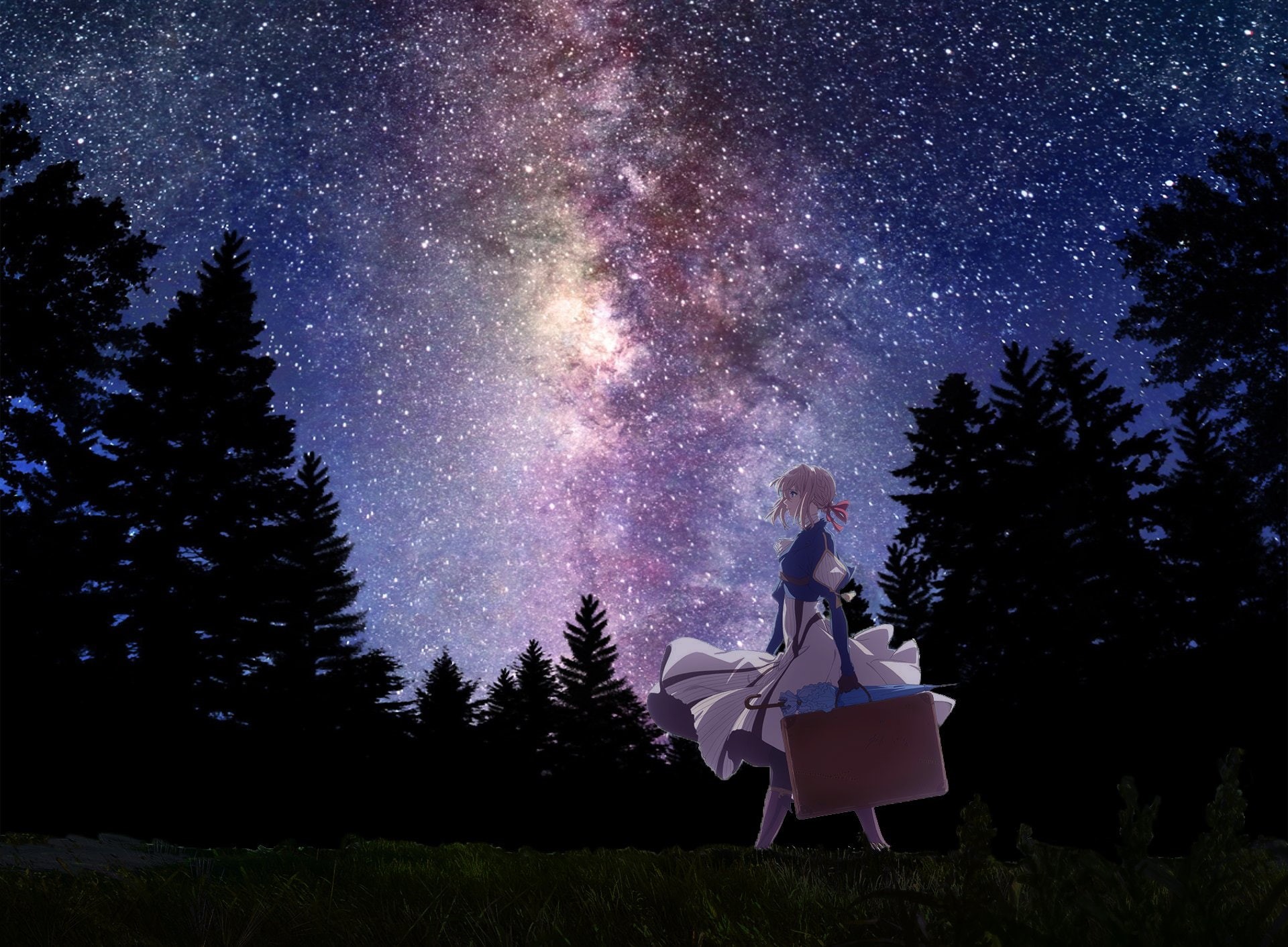 Stars, growth, 1080P, land, field, Anime, galaxy, Blonde, sky, Blue Eyes, Suitcase, one person, star - space, Violet Evergarden (Anime), plant, constellation, HD Wallpaper