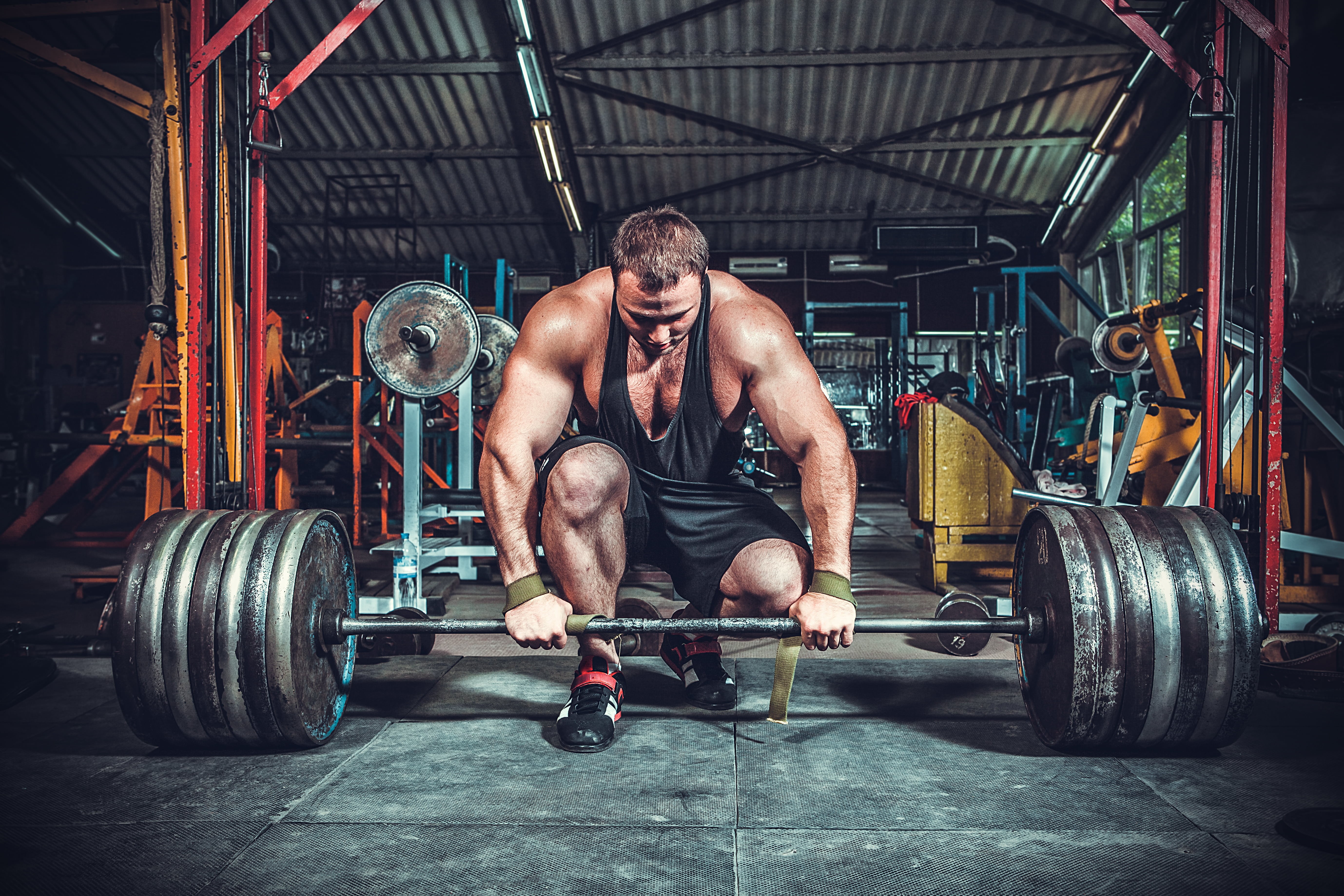 activity, weights, relaxation Exercise, males, pose, human Muscle, one Person, athlete, effort, top, vitality, equipment, sports Clothing, bicep, weight, HD Wallpaper