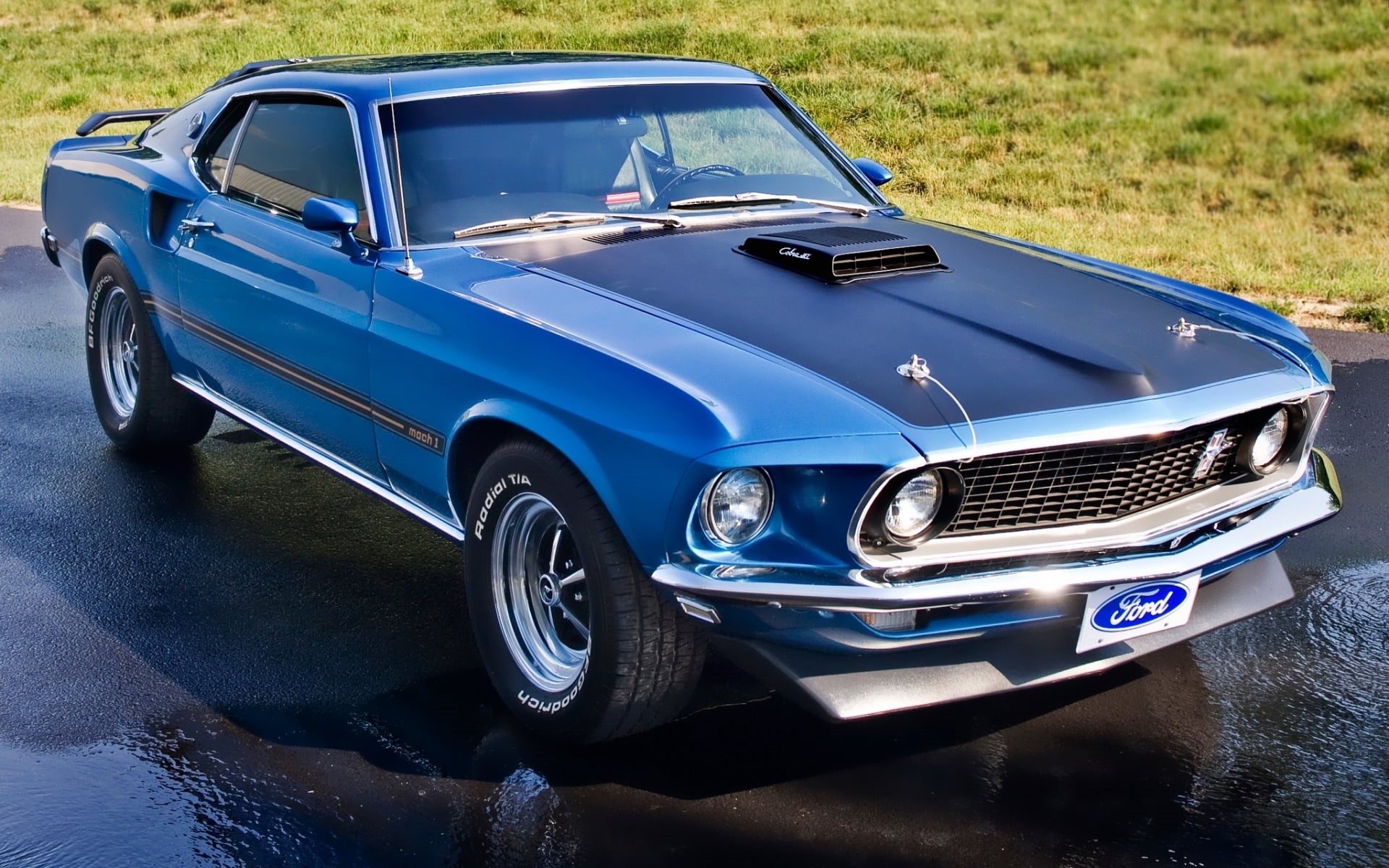 elegance, blue, the front, road, collectors Car, nostalgia, engine, lawn, outdoors, Mustang, shiny, machinery, mode of transportation, old, old-fashioned, HD Wallpaper