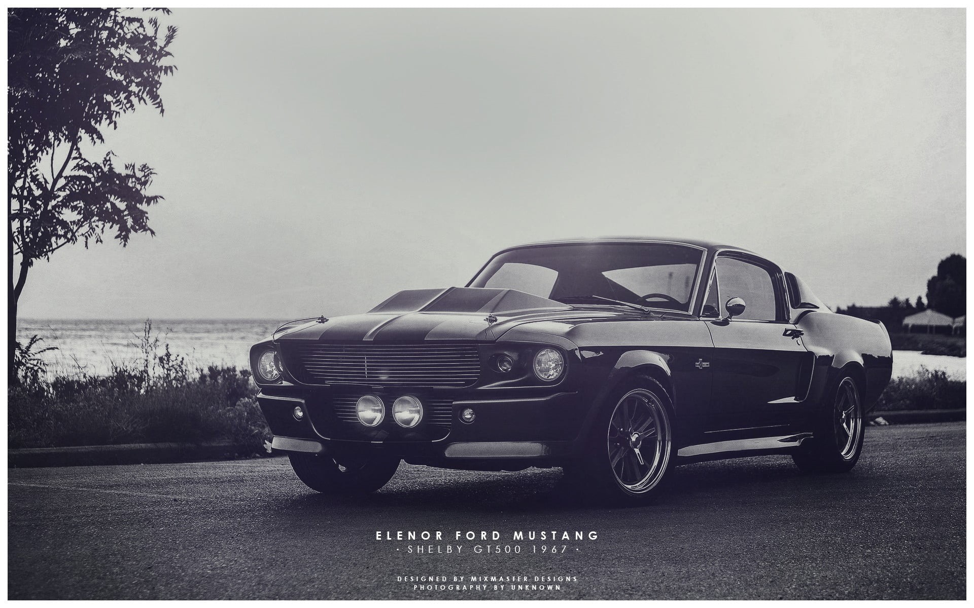 plant, nature, tree, motor vehicle, retro styled, day, car, no people, land vehicle, copy space, sky, transportation, Shelby GT500, mode of transportation, HD Wallpaper