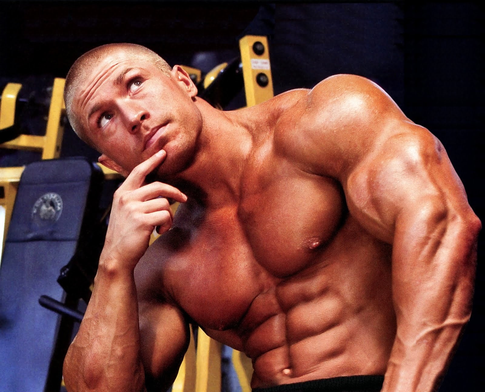 720P, body building, lifting, fitness, muscle, muscles, bodybuilding, weight, HD Wallpaper