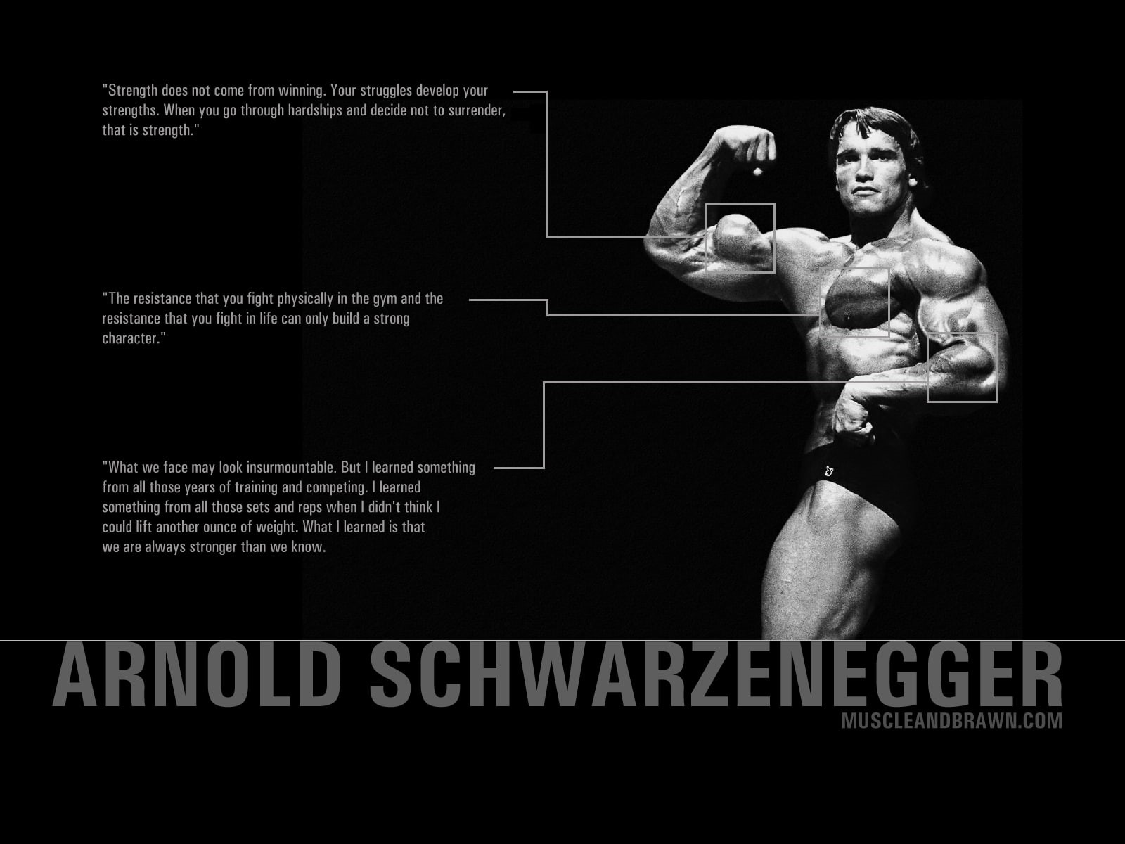 720P, sports, hd, bodybuilding, HD Wallpaper