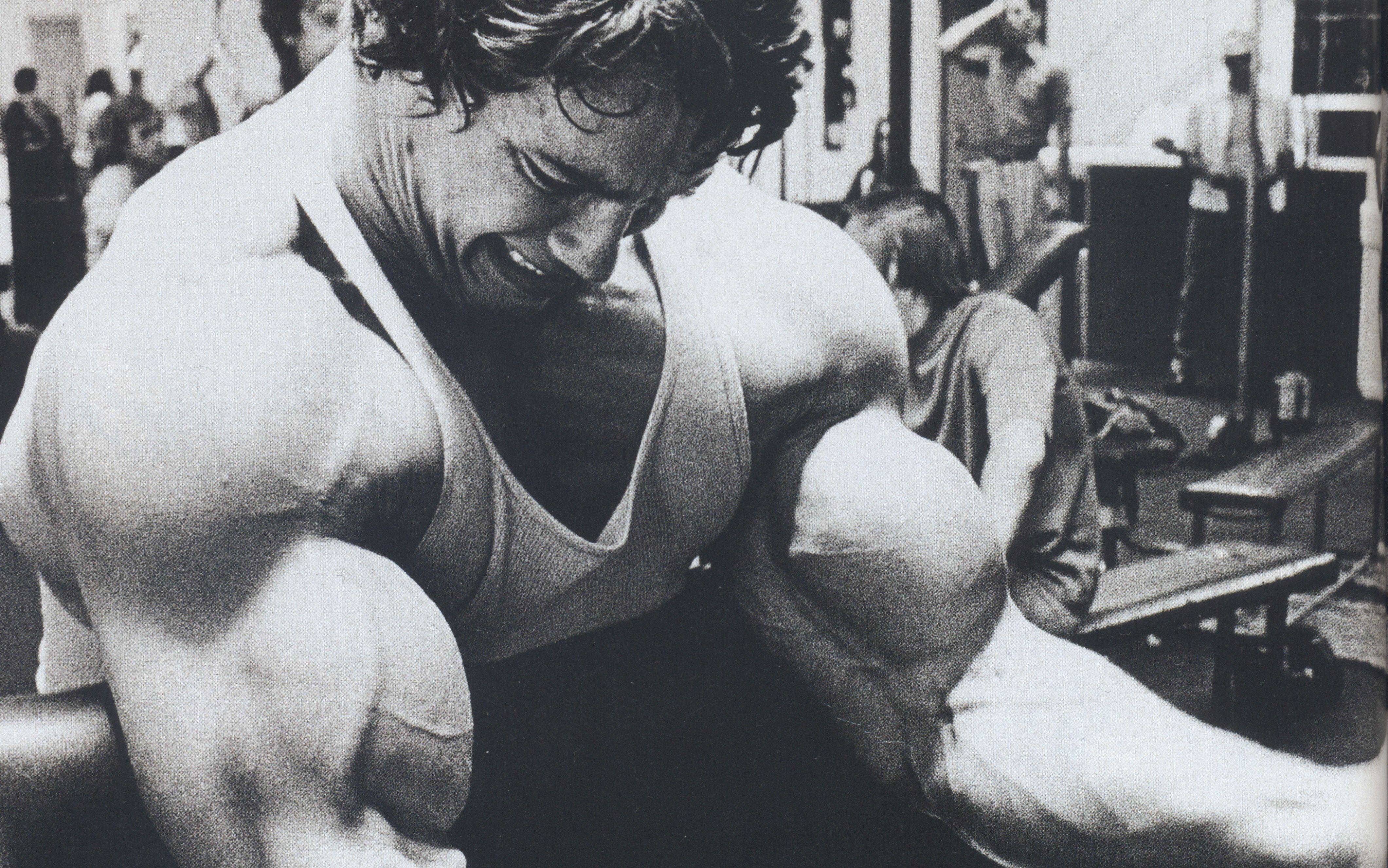 Barbell, 4K, Arnold Schwarzenegger, bodybuilding, Gyms, Bodybuilder, Exercising, HD Wallpaper