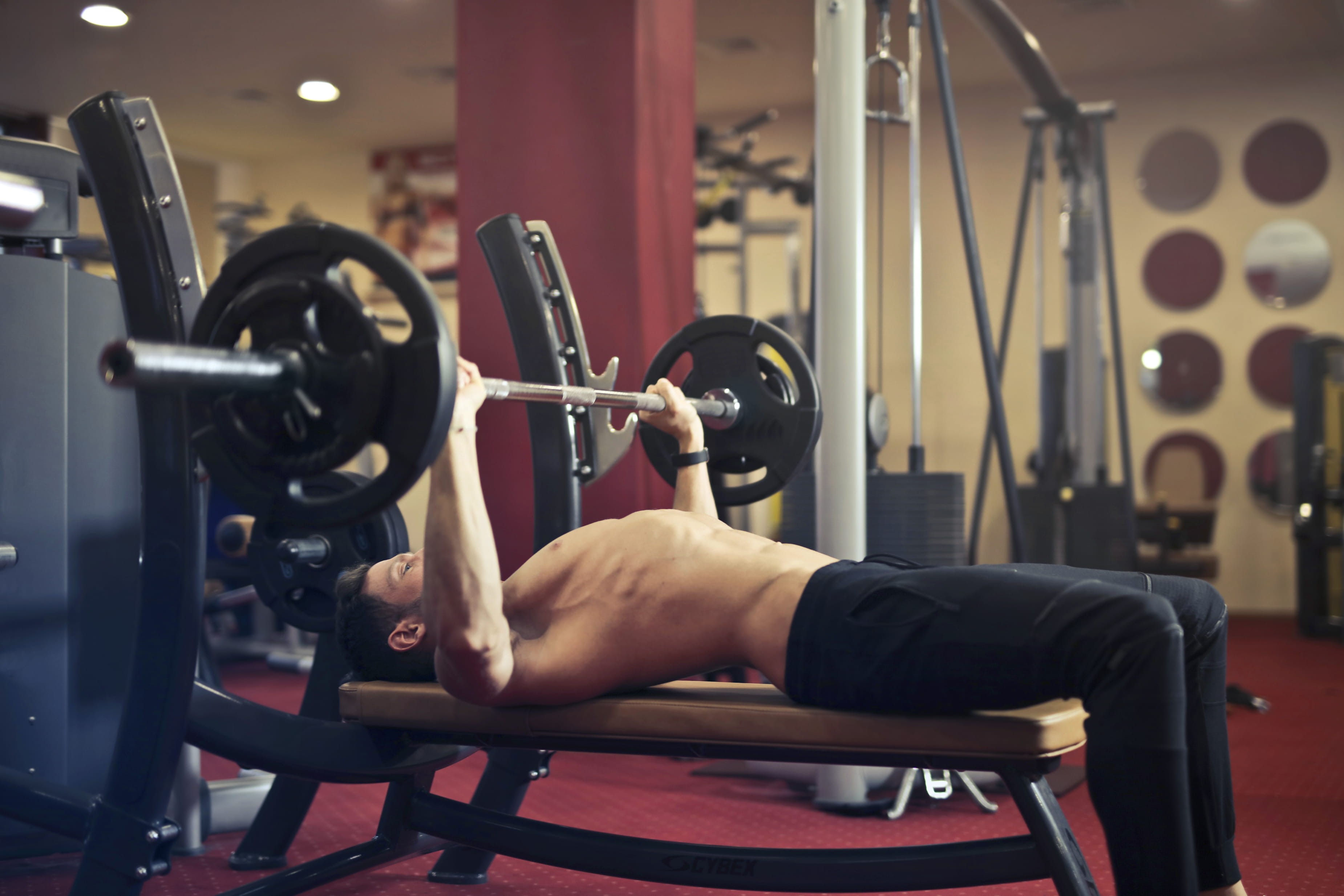 metal, masculine, healthy lifestyle, physical activity, sports equipment, barbell, fit, fitness, vitality, crossfit, gym, human muscle, equipment, wear, HD Wallpaper