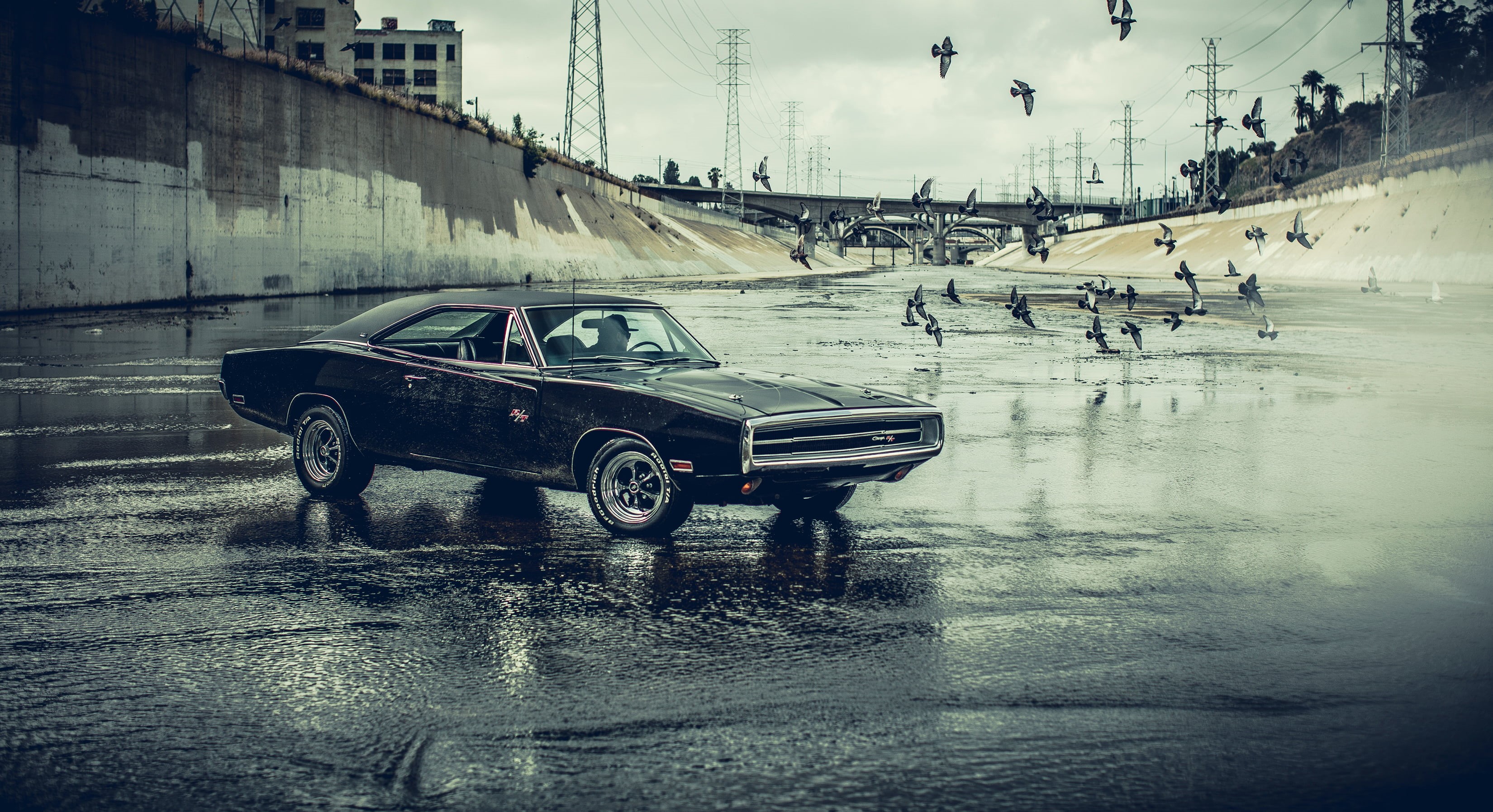 rainy season, black cars, street, building exterior, outdoors, coupe, land vehicle, built structure, sky, architecture, cold temperature, winter, 2K, day, HD Wallpaper