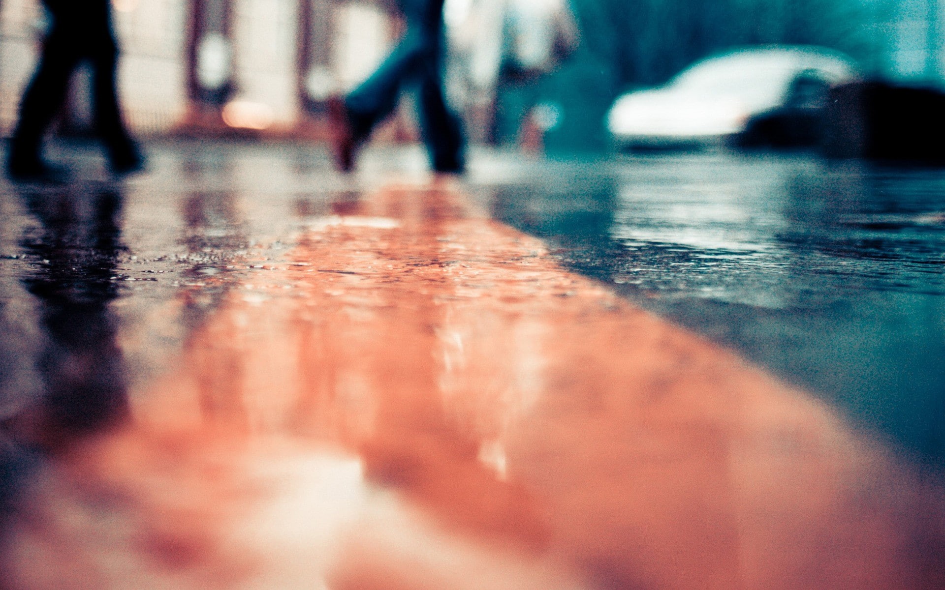 urban, street, 1080P, wet street, HD Wallpaper