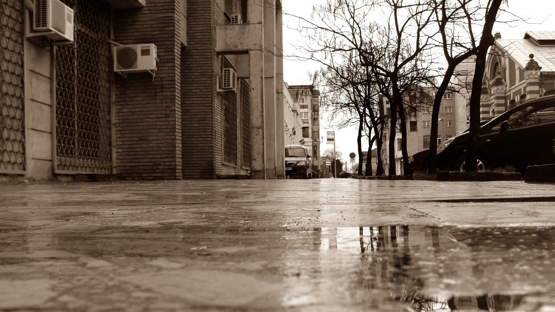 reflection, no people, bare, outdoors, car, trees, tree, day, sepia, nature, street, water, city, rain, motor vehicle, built structure, wet, surface level, HD Wallpaper