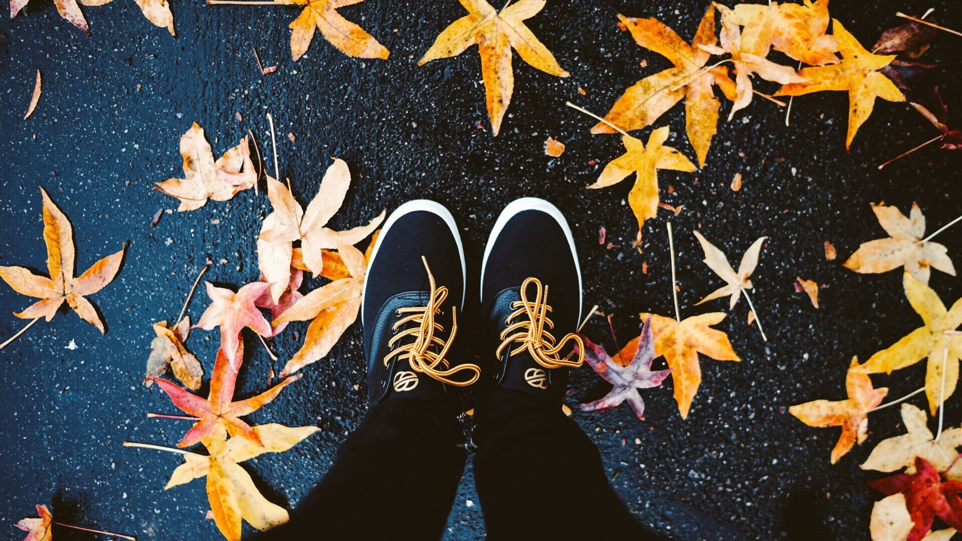 standing, wet, yellow, plant part, top, top view, white, directly above, one person, wet street, leaves, autumn, leaf, human body part, low section, real people, HD Wallpaper