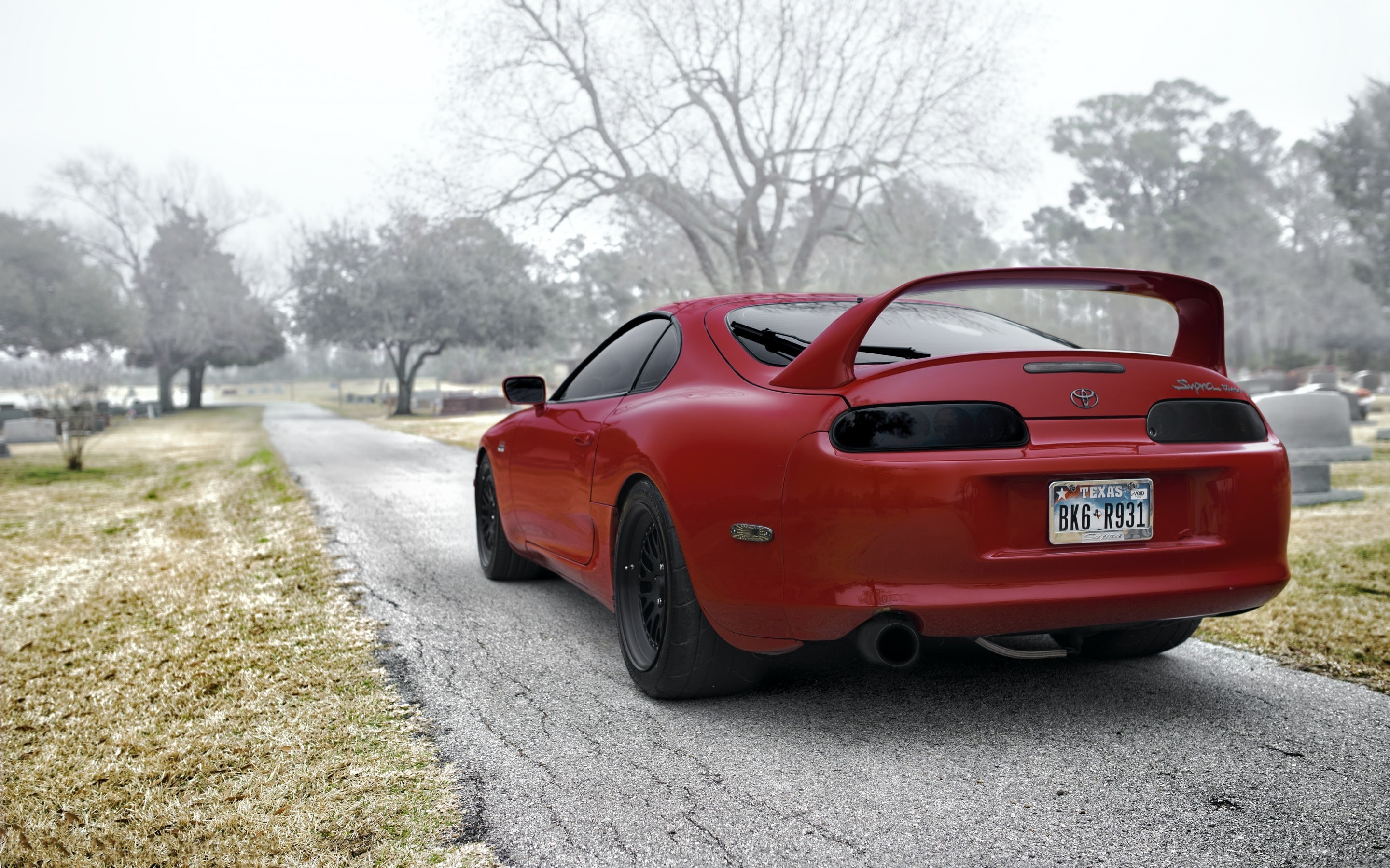 s, supra, 2K, Red, Cars s HD, Toyota, red tail of trees, HD Wallpaper