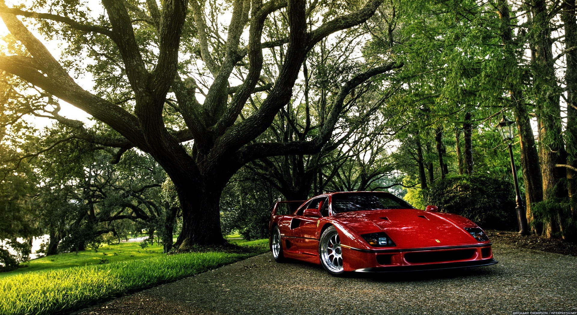 day, mode of transportation, trunk, land vehicle, no people, Gran Turismo, 720P, growth, f, car, Ferrari F40, transportation, land, motor vehicle, tree trunk, HD Wallpaper