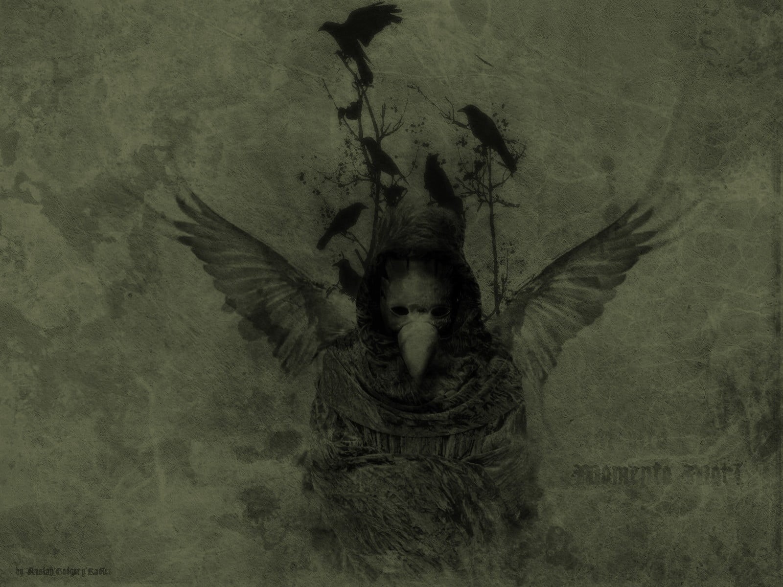 sketch, tree, fantasy art, mask, bat - animal, portrait, feather, artwork, animal wildlife, one animal, vertebrate, gray, birds, 720P, no people, plague doctors, HD Wallpaper